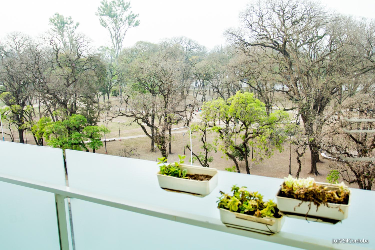 Departamento Bicentenario y Parque