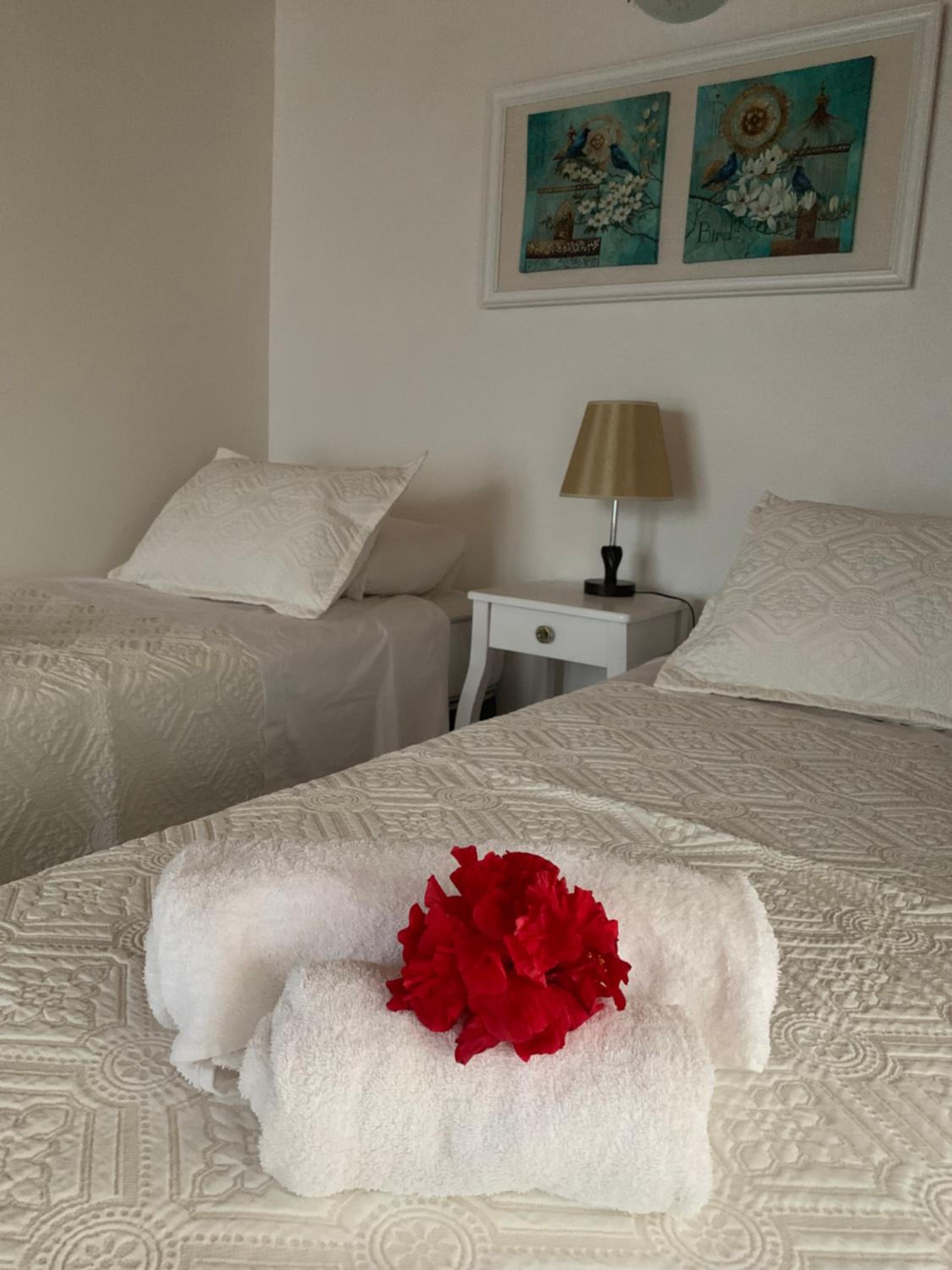 Teanehi Bed & Breakfast