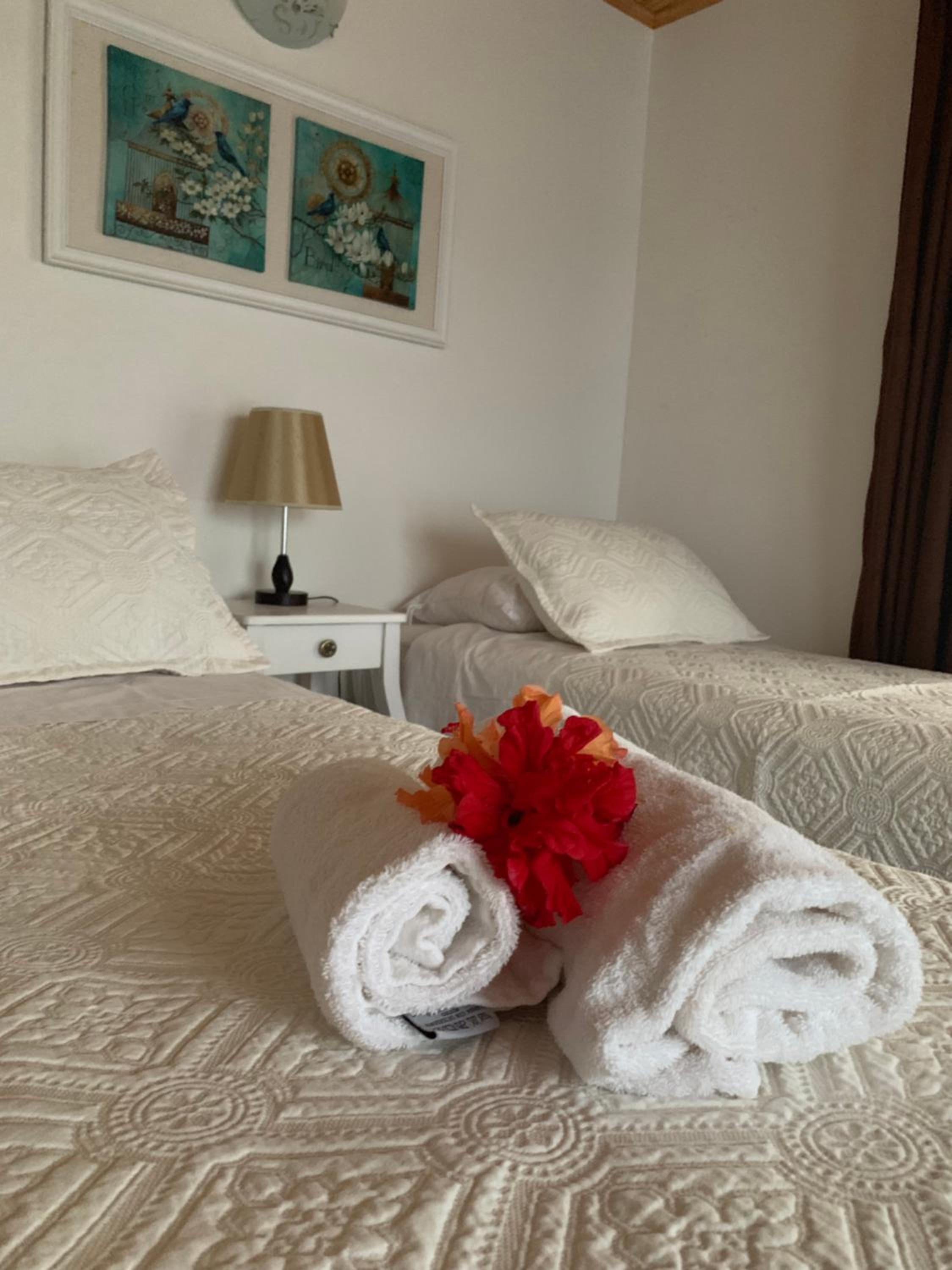 Teanehi Bed & Breakfast