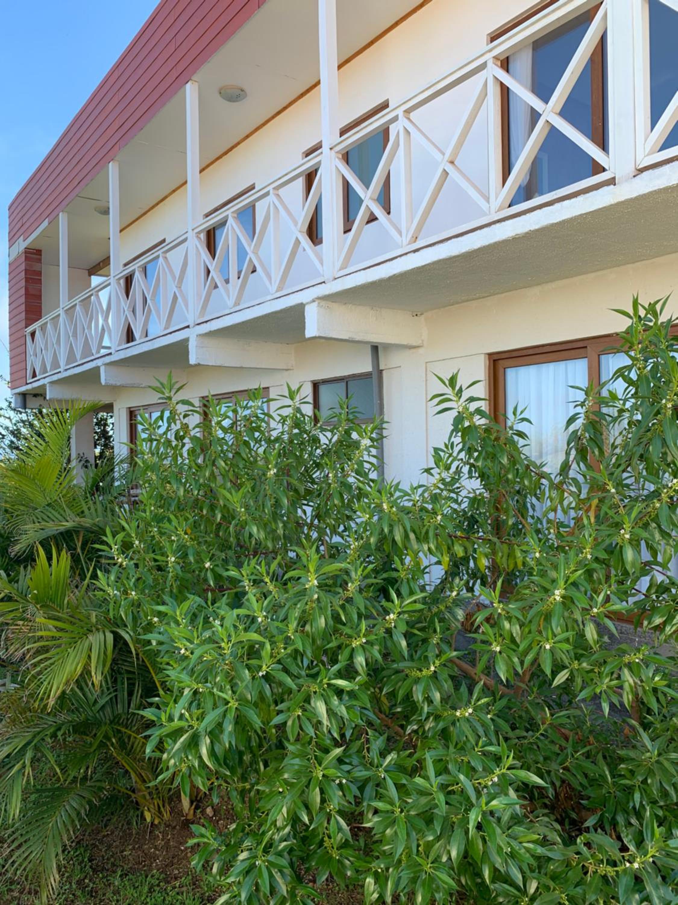 Teanehi Bed & Breakfast