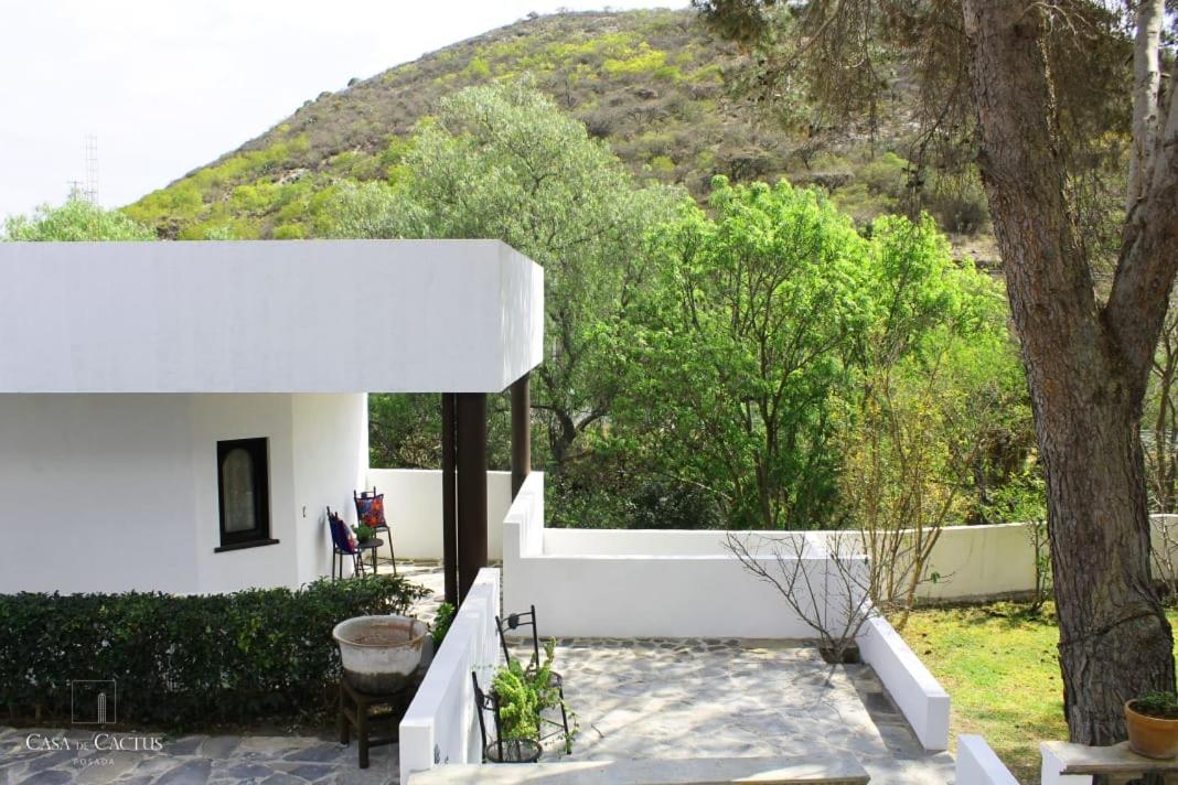 Casa de Cactus view 2