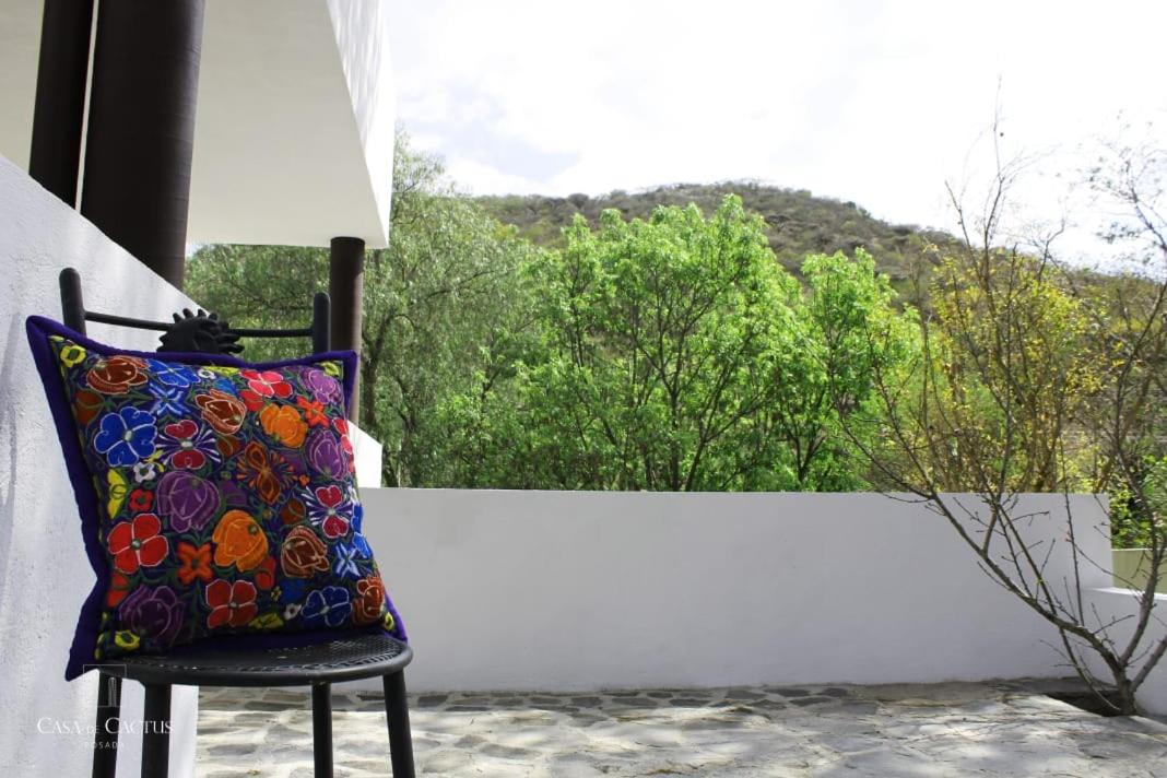 Casa de Cactus view 3