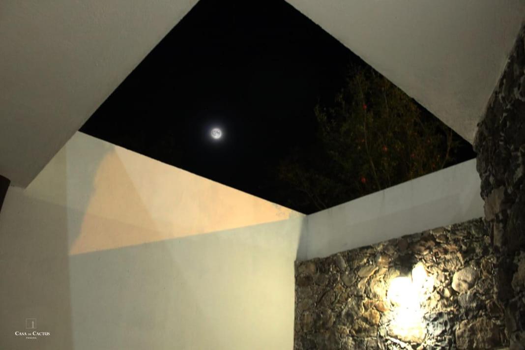 Casa de Cactus view 5