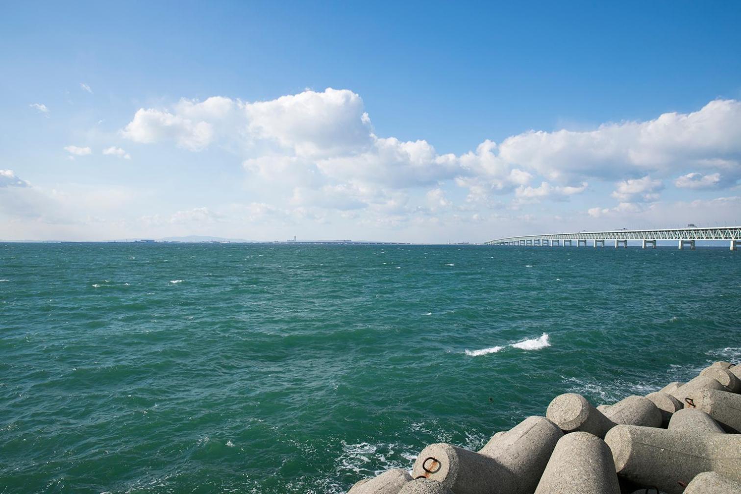 Hotel Nikko Kansai Airport - 3 mins walk to the airport
