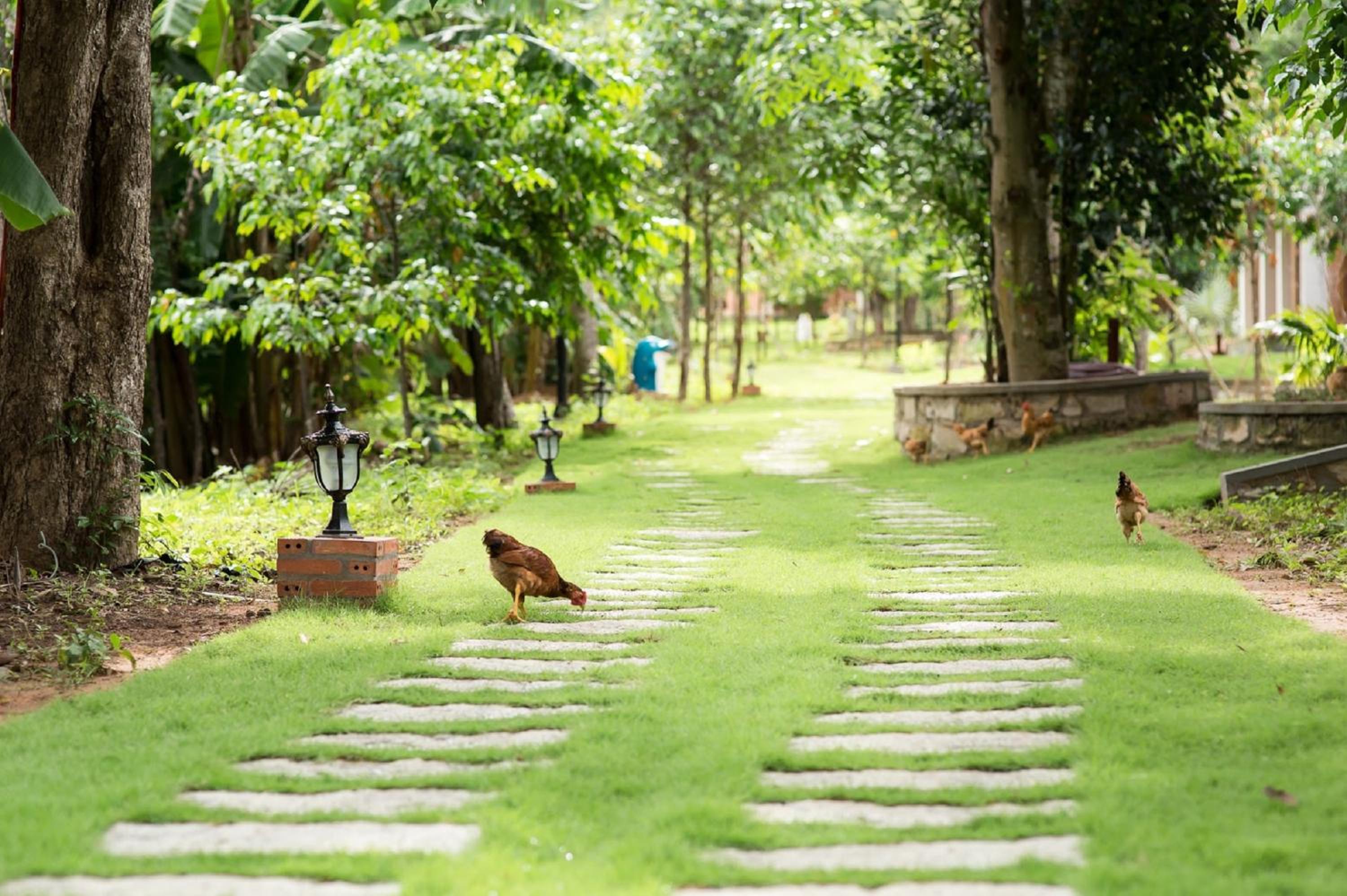 The Garden House Phu Quoc Resort