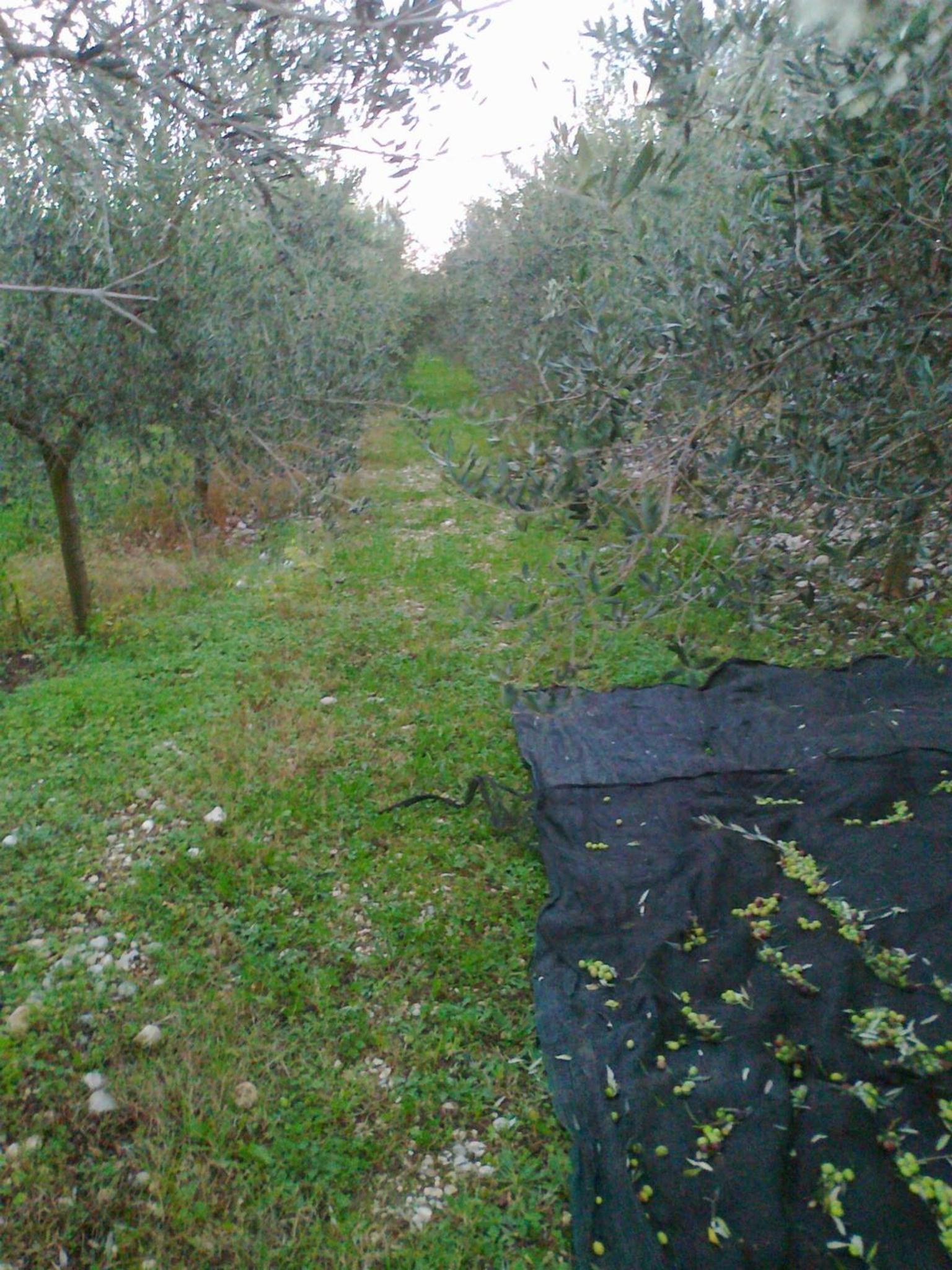 AGRITURISMO Casa Riz