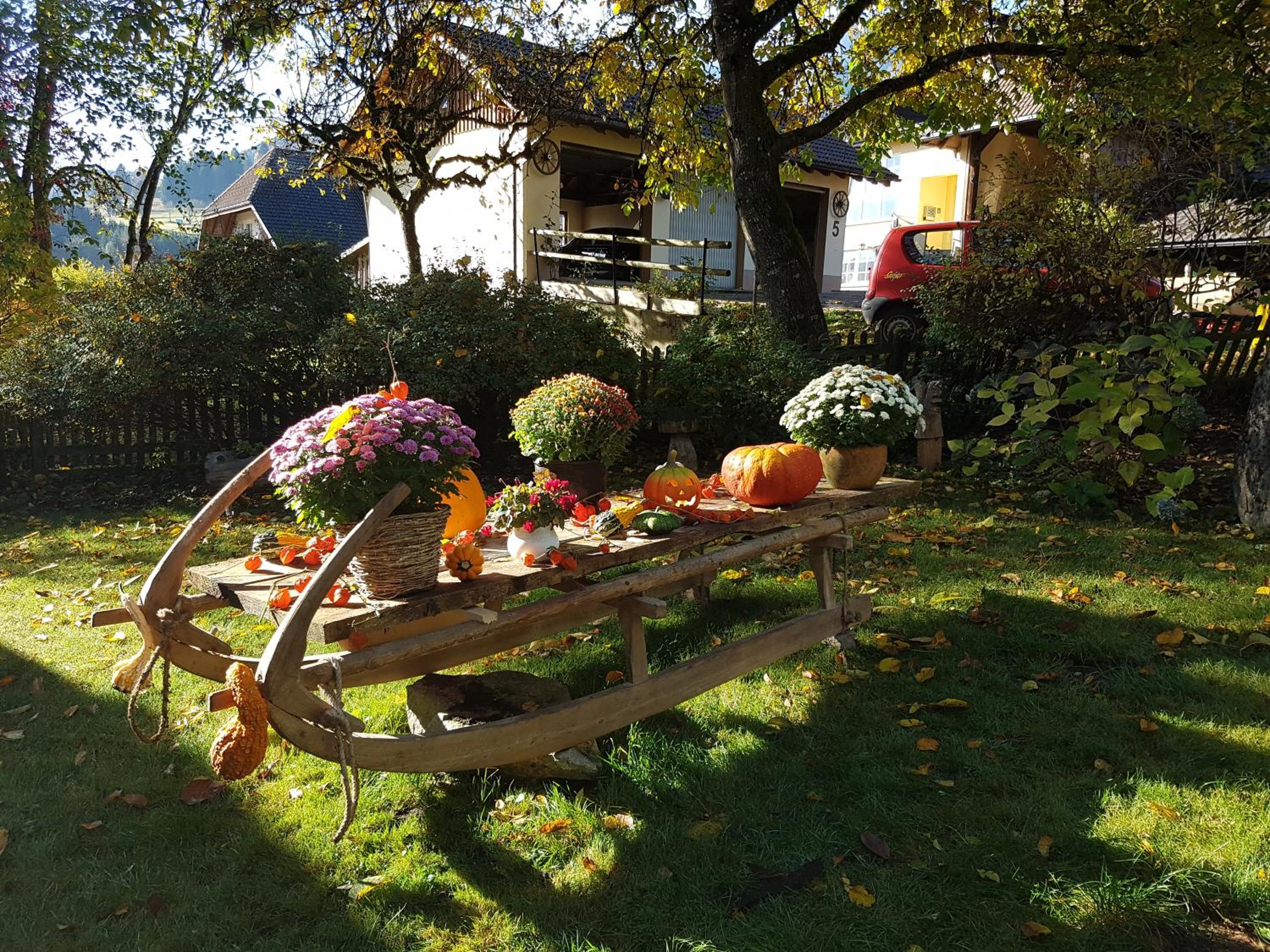 Gasthaus Hirtenbrunnen view 5