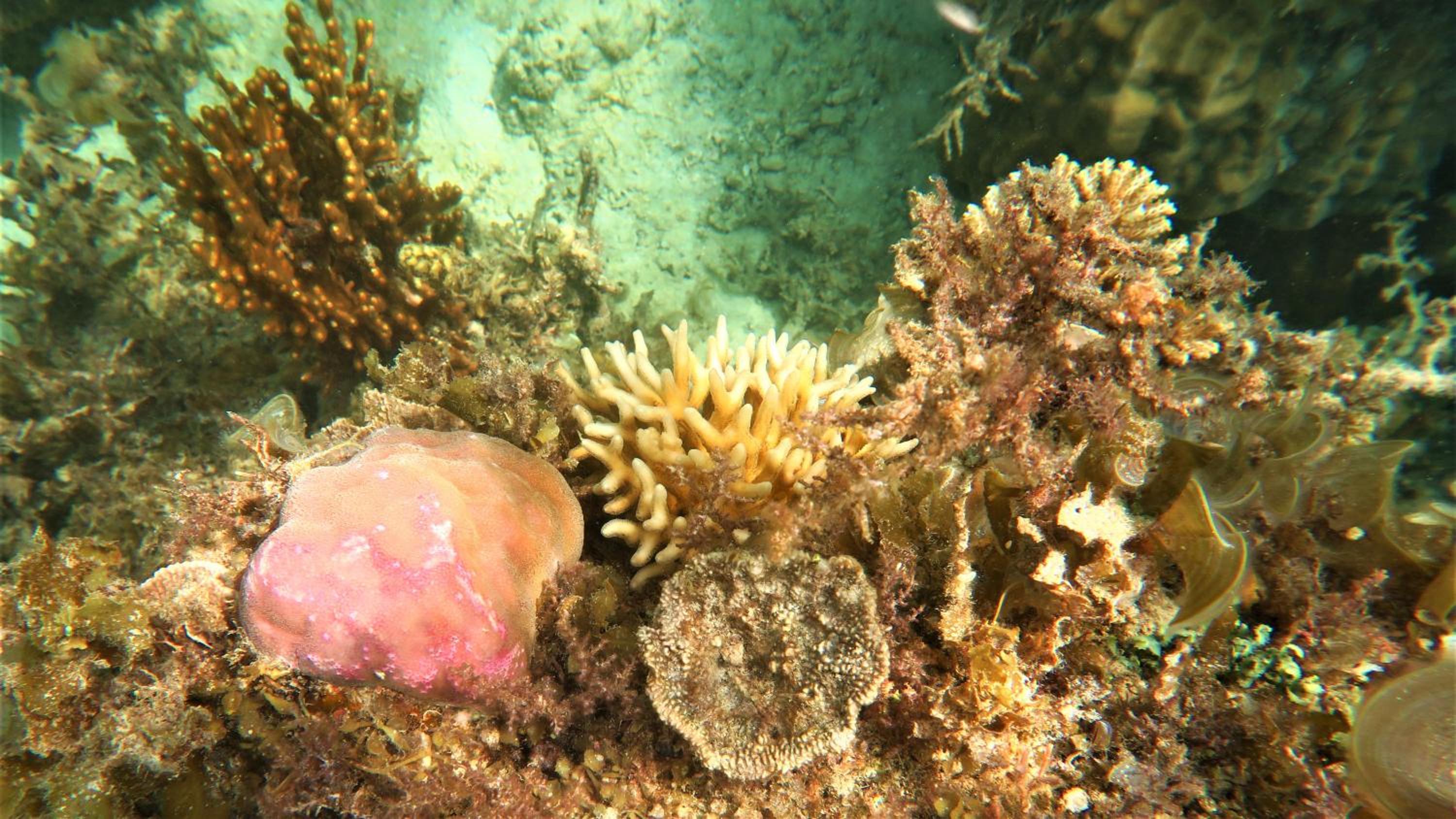 Photo 40