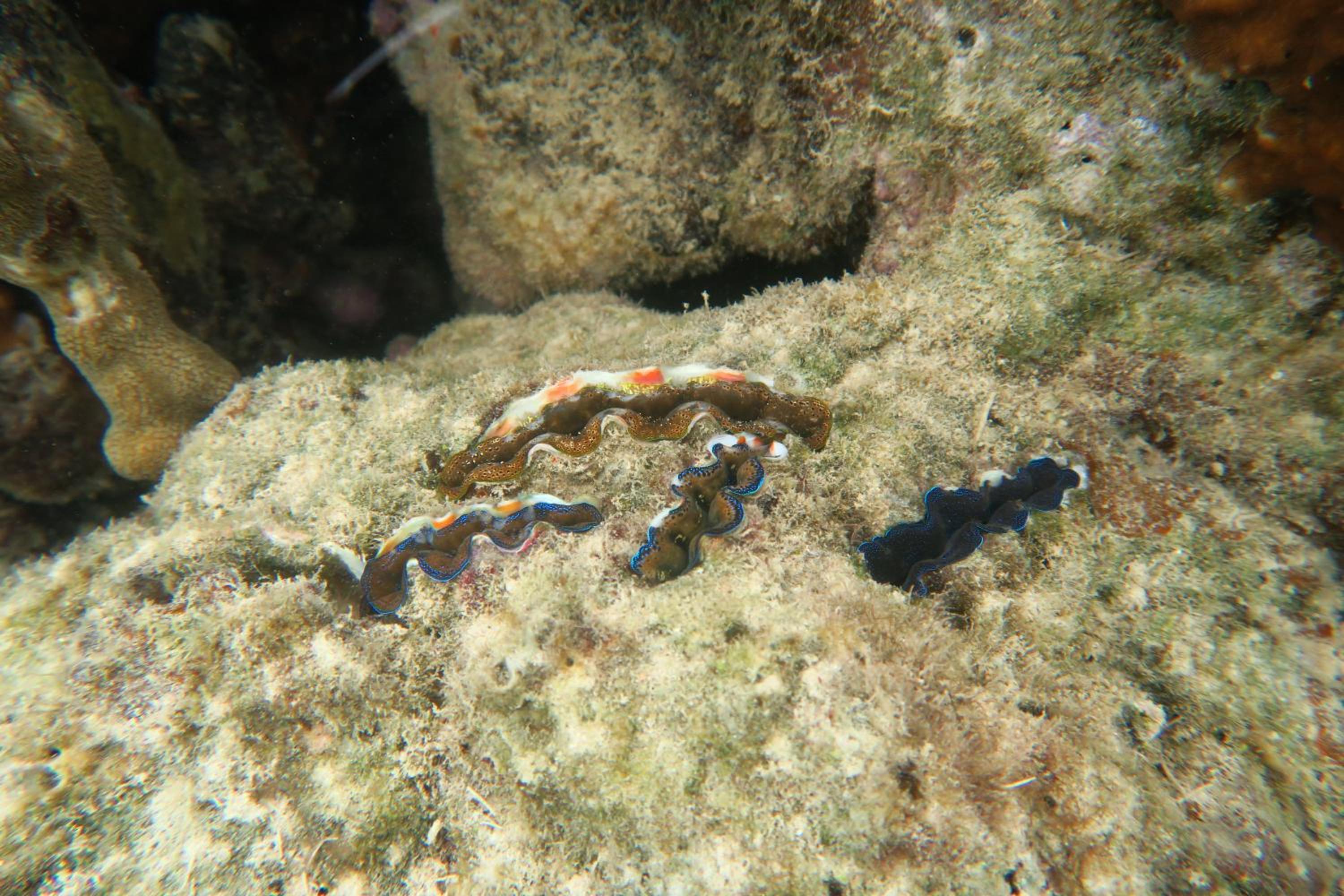 Photo 32
