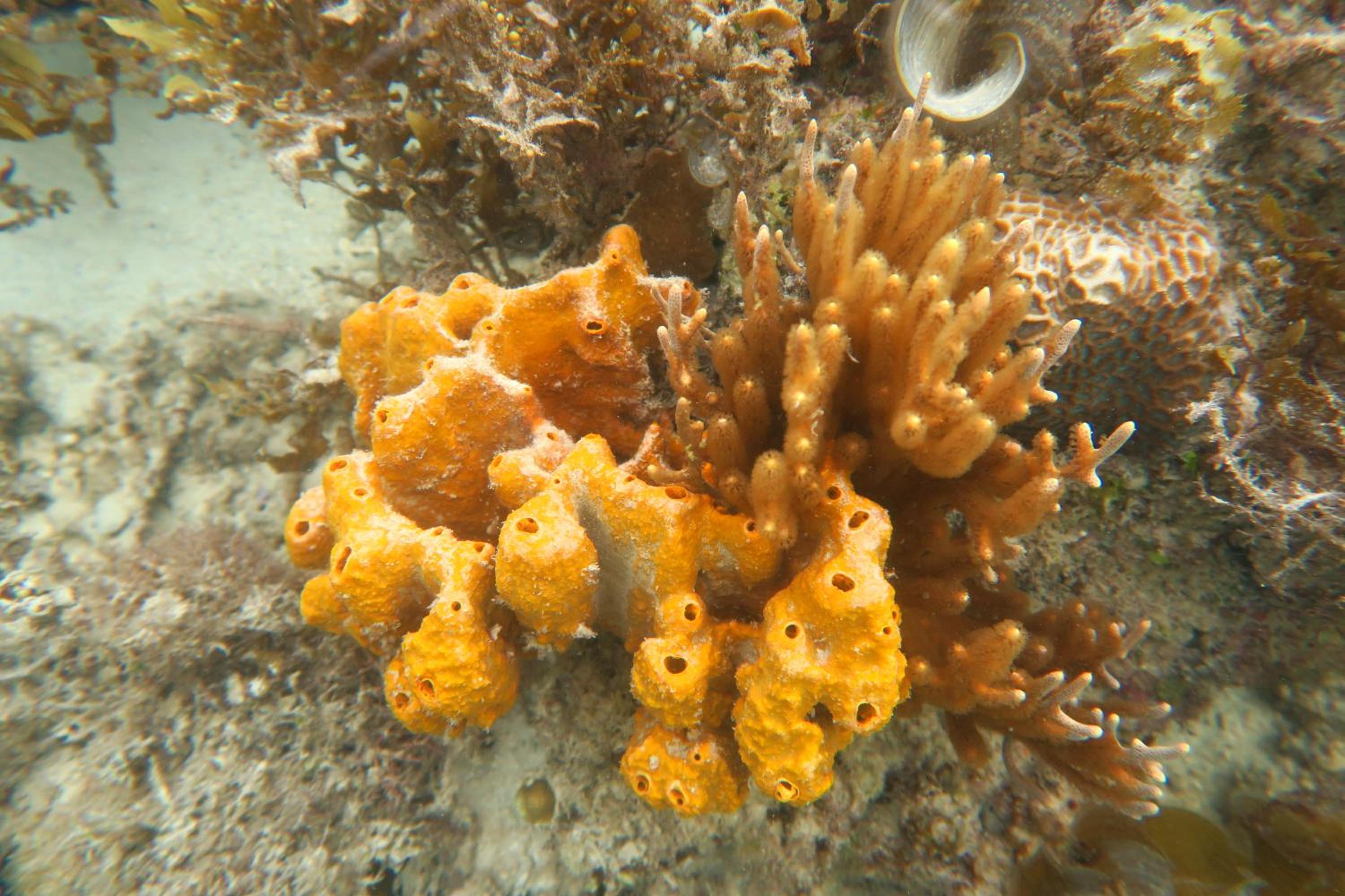 Photo 41