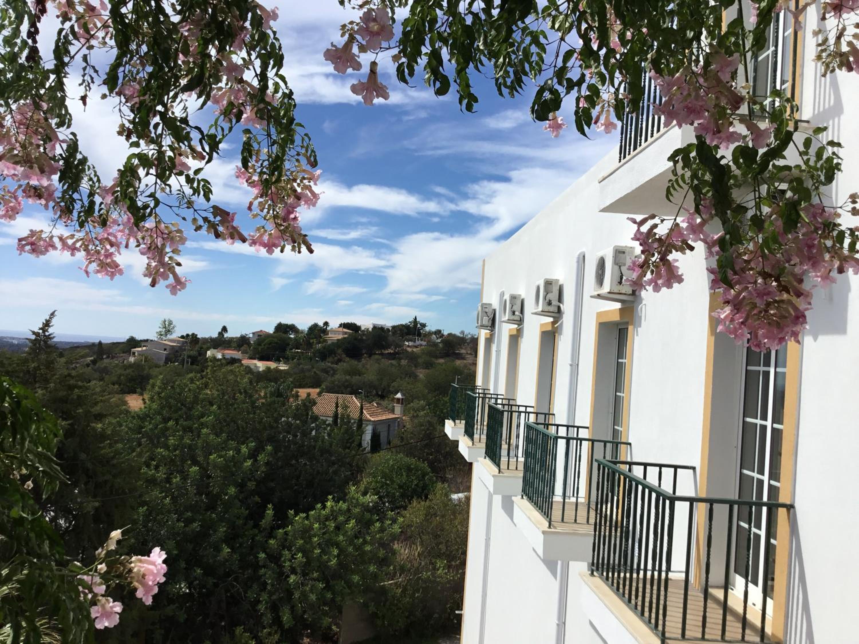 Golda Sol view 5