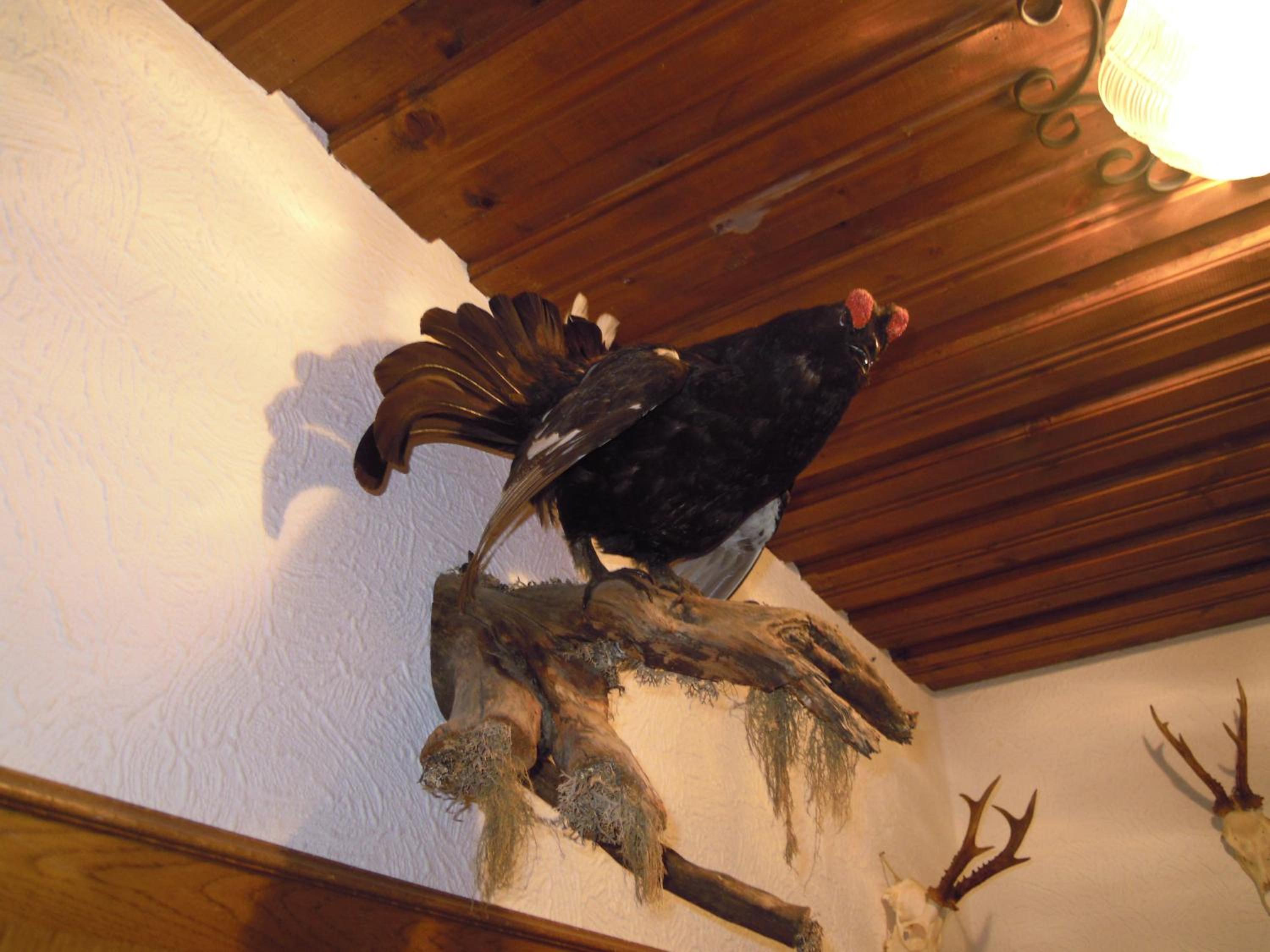 Pension Herzoggut
