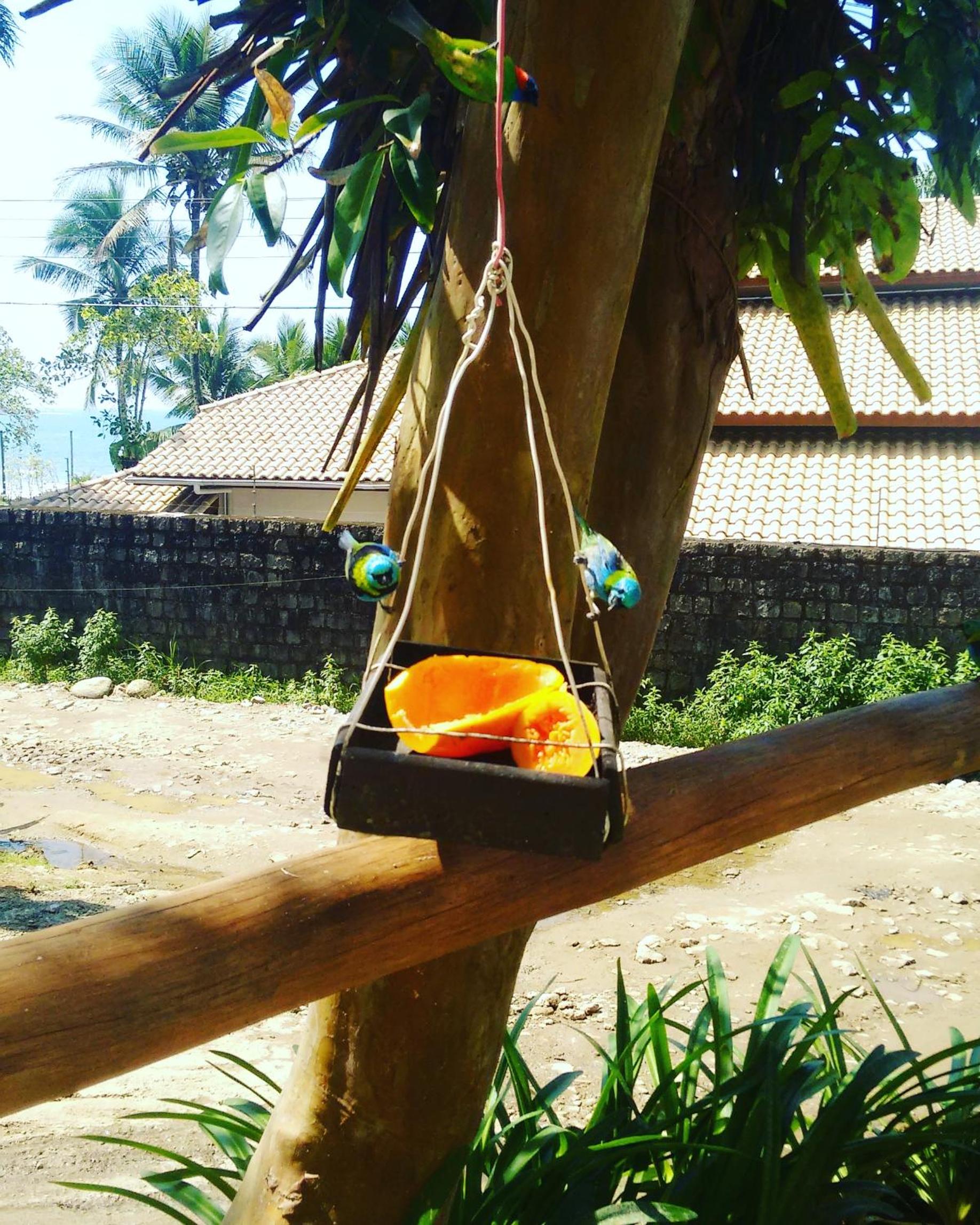 Suites Brilho do Sol