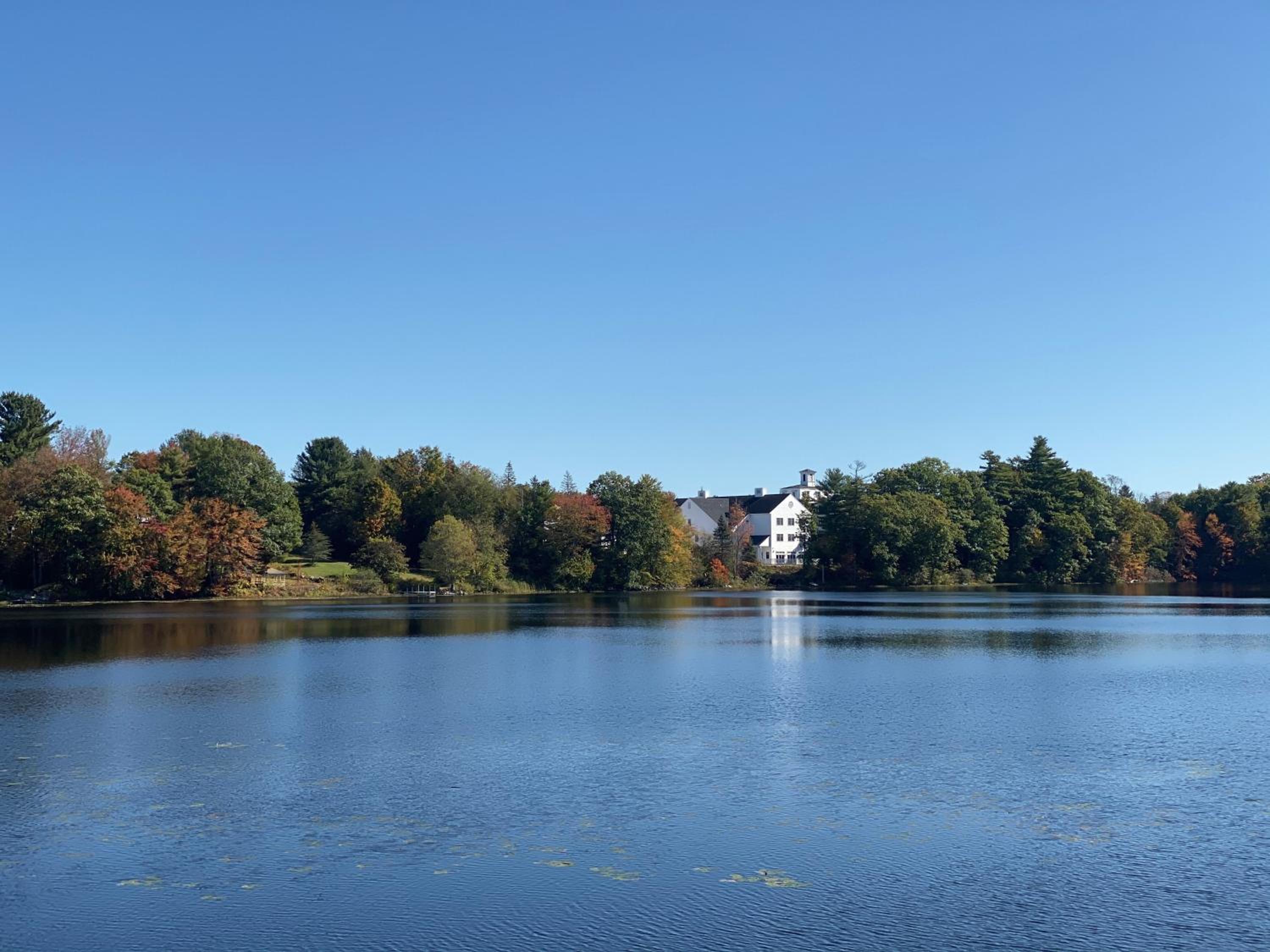 Welcome to the Lake view 3