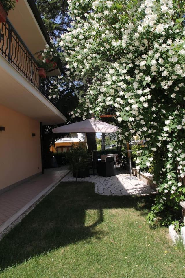 Photo 40