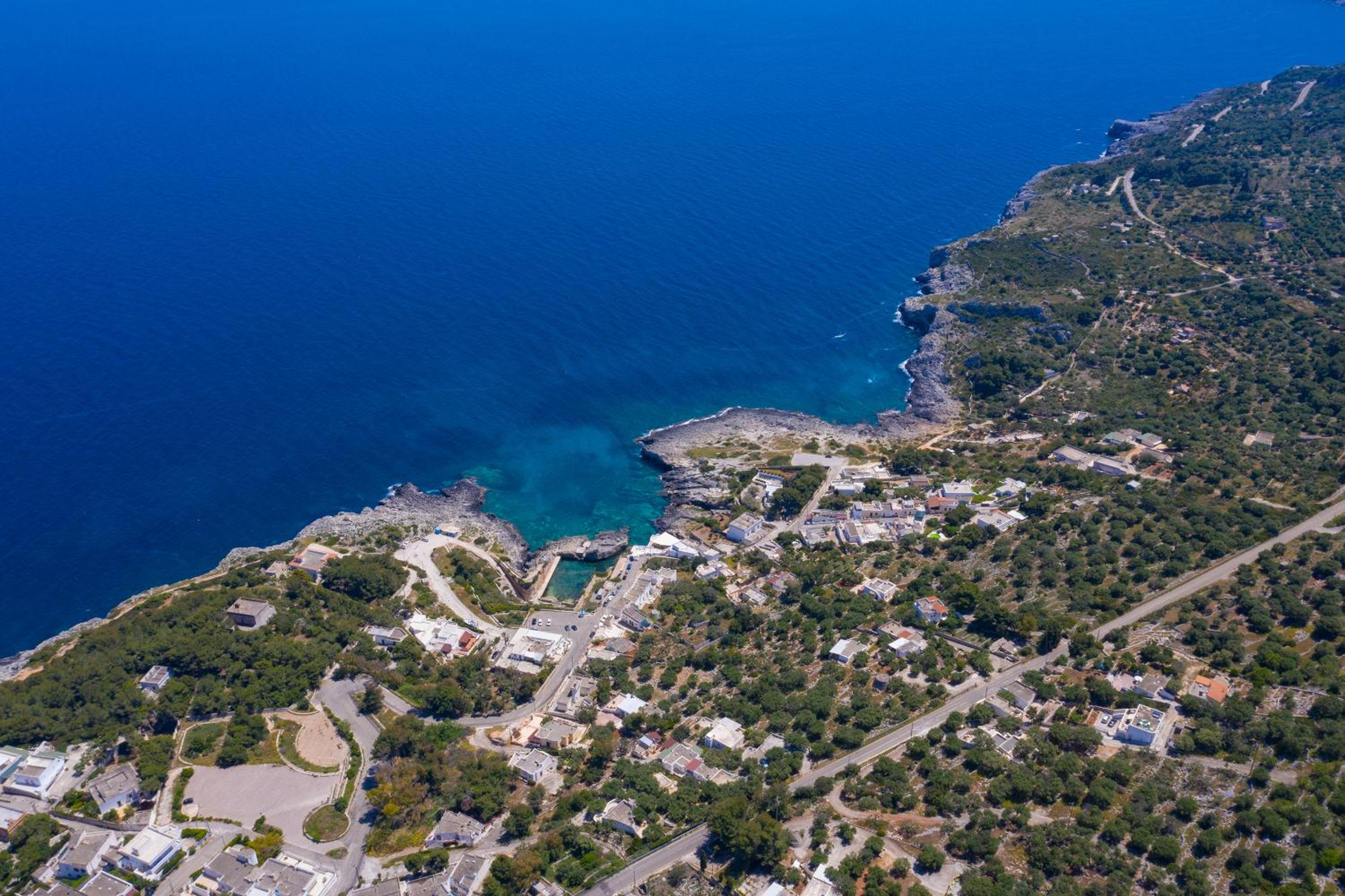 Photo 50