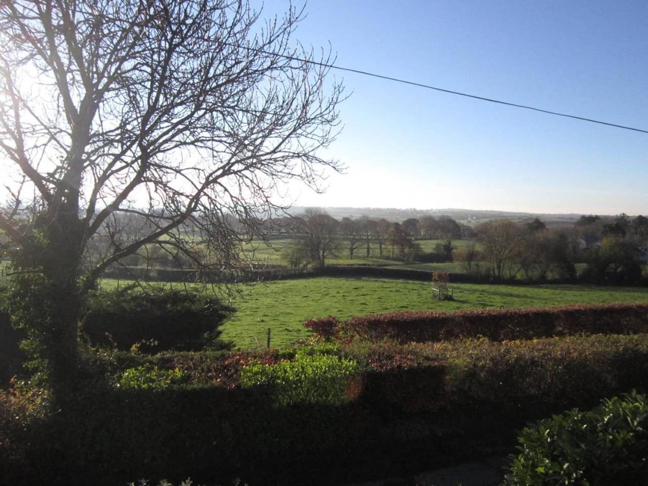 Ffyllon Fawr
