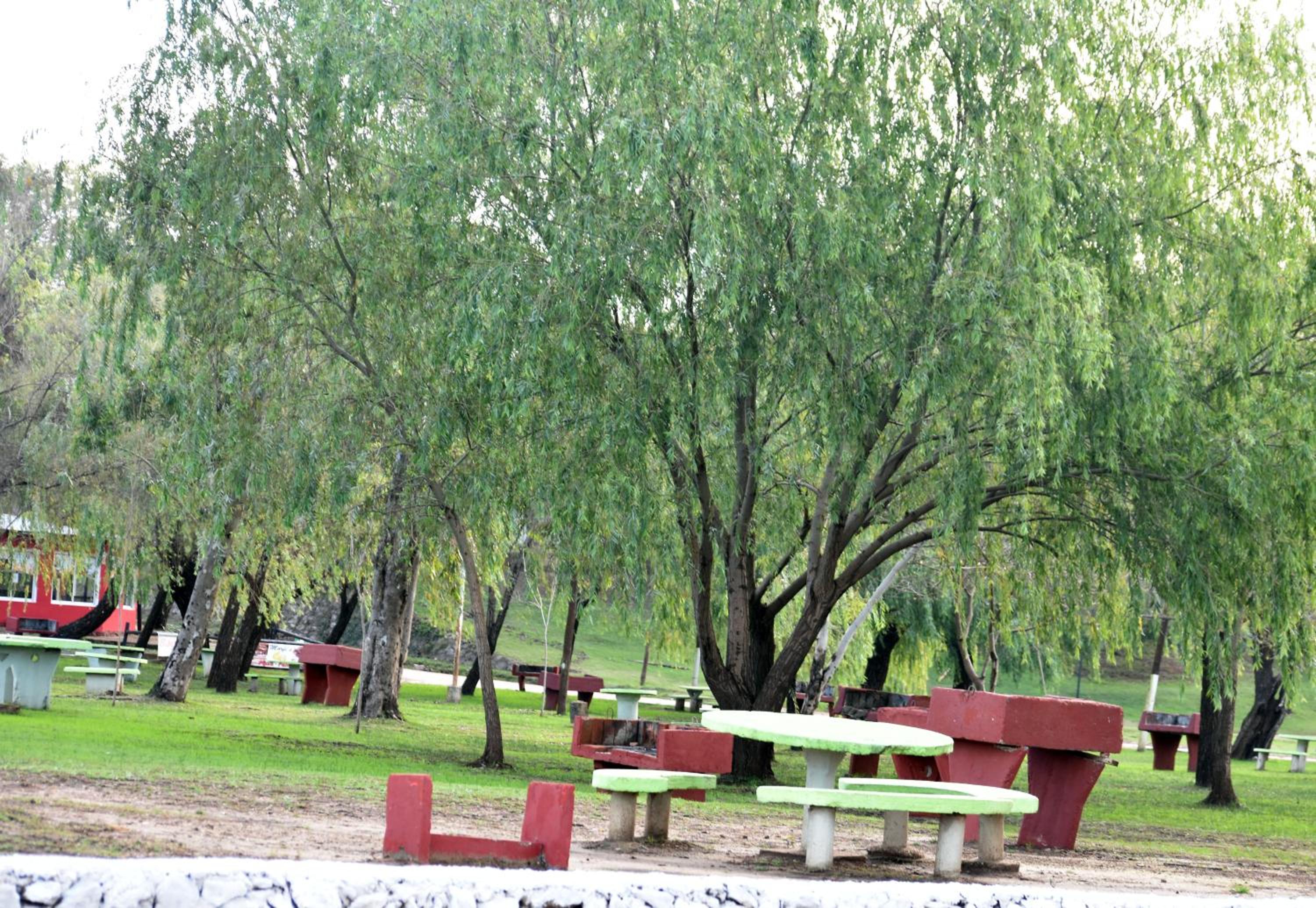 Duplex Samay - Families only-