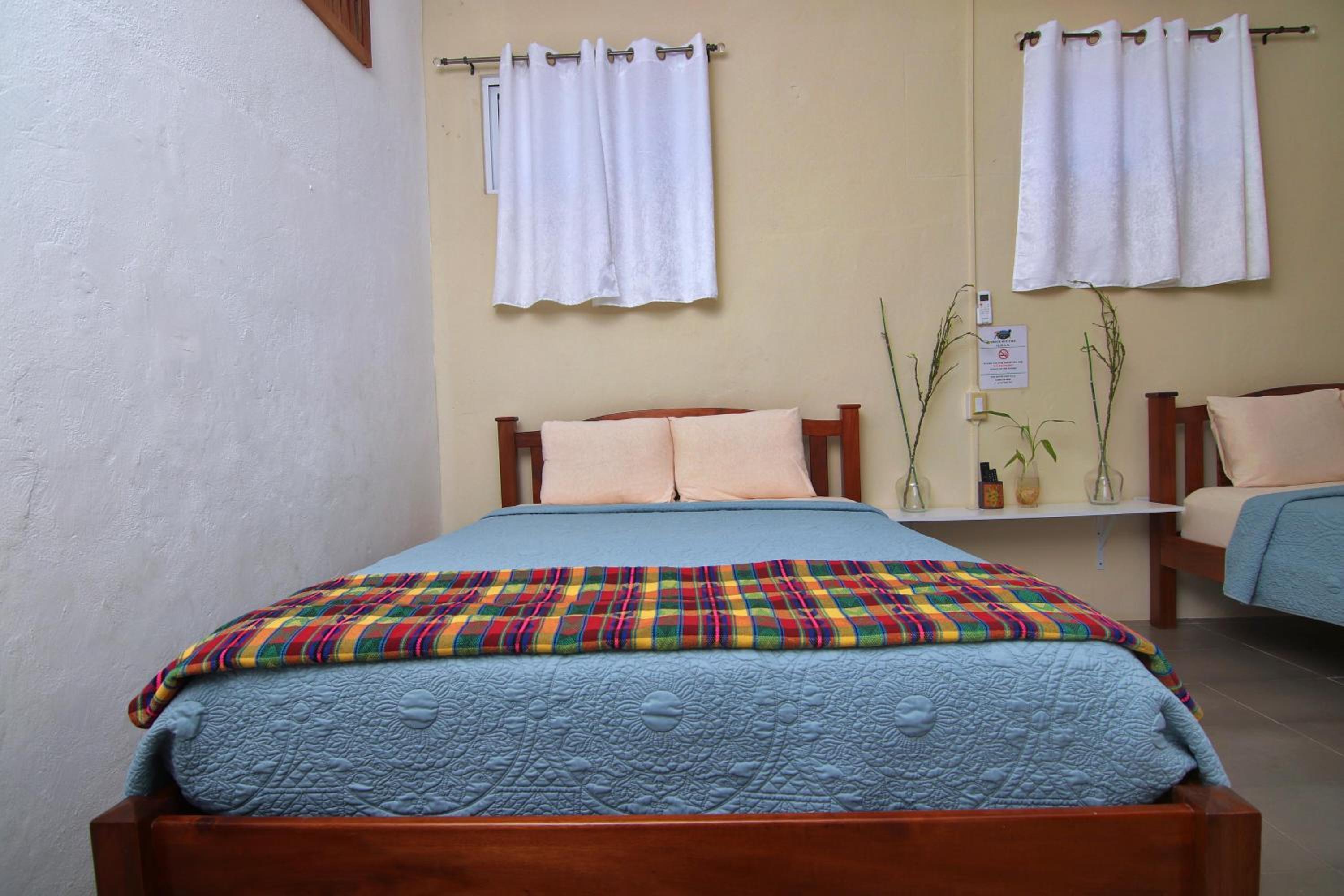 Rainforest Haven Inn view 5