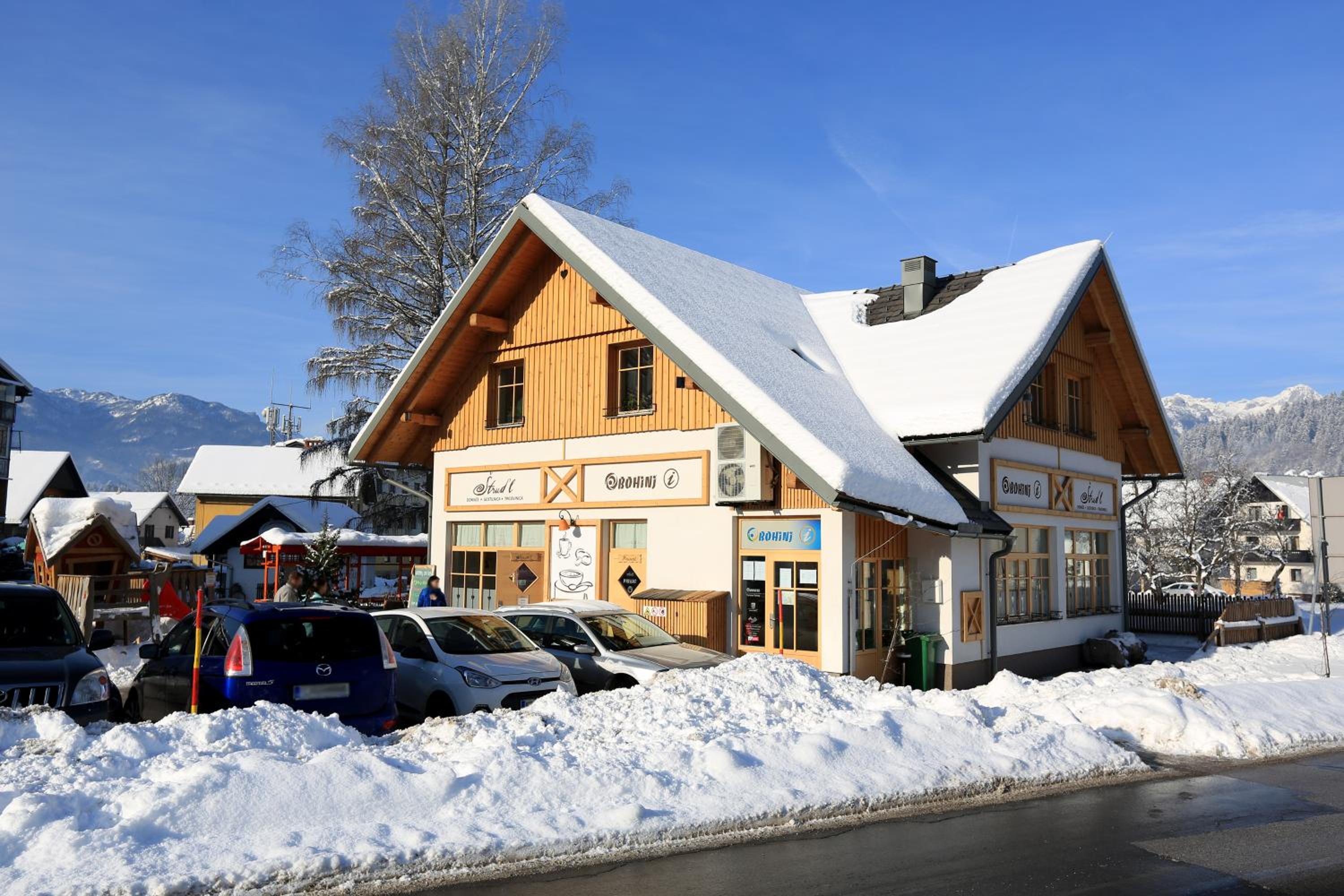 Apartmaji Štrud´l Bohinj view 2