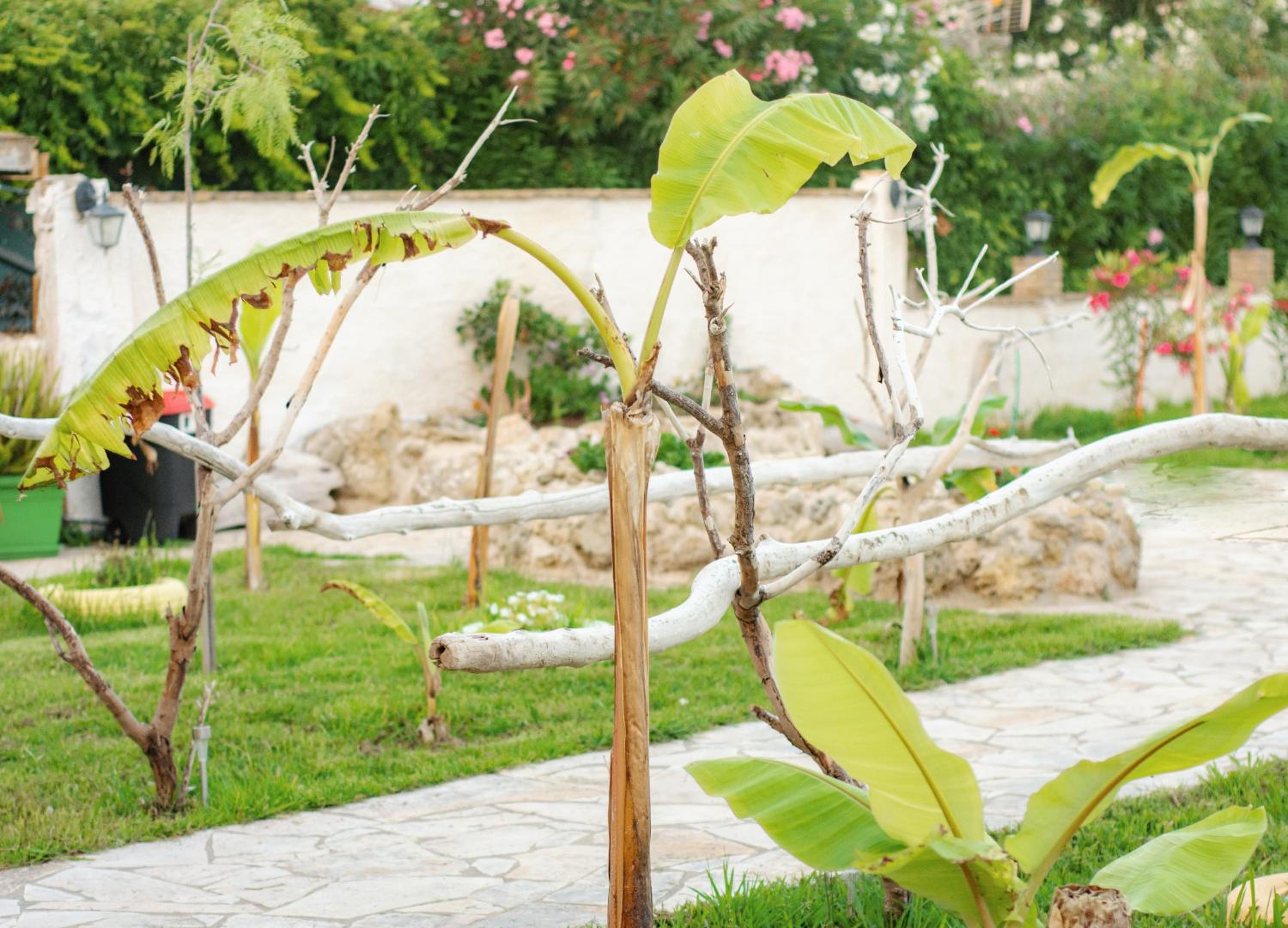 Harmony Corfu Apartments & Studios
