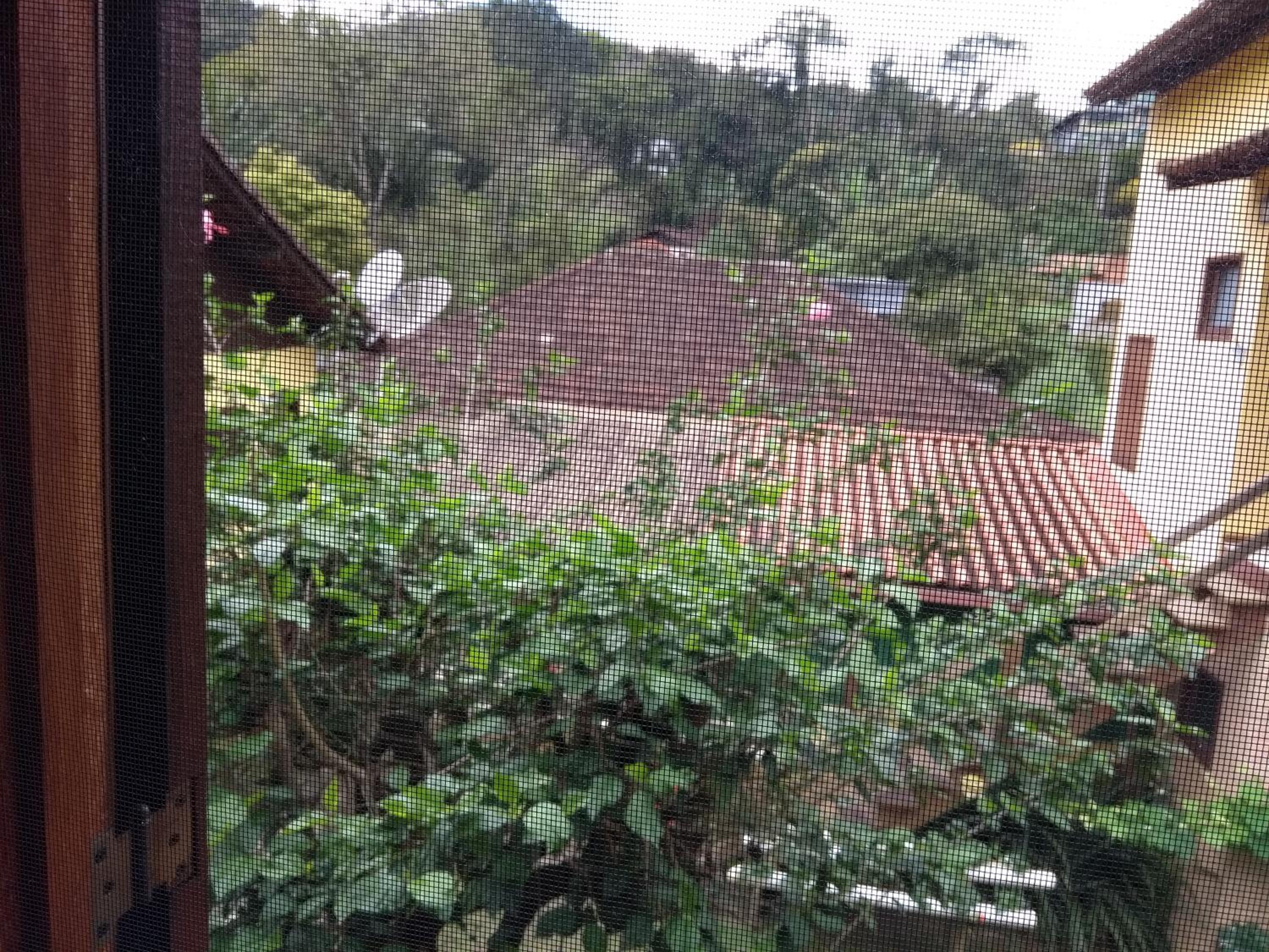 Pousada Canteiros de São Pedro da Serra-Nova Friburgo view 3