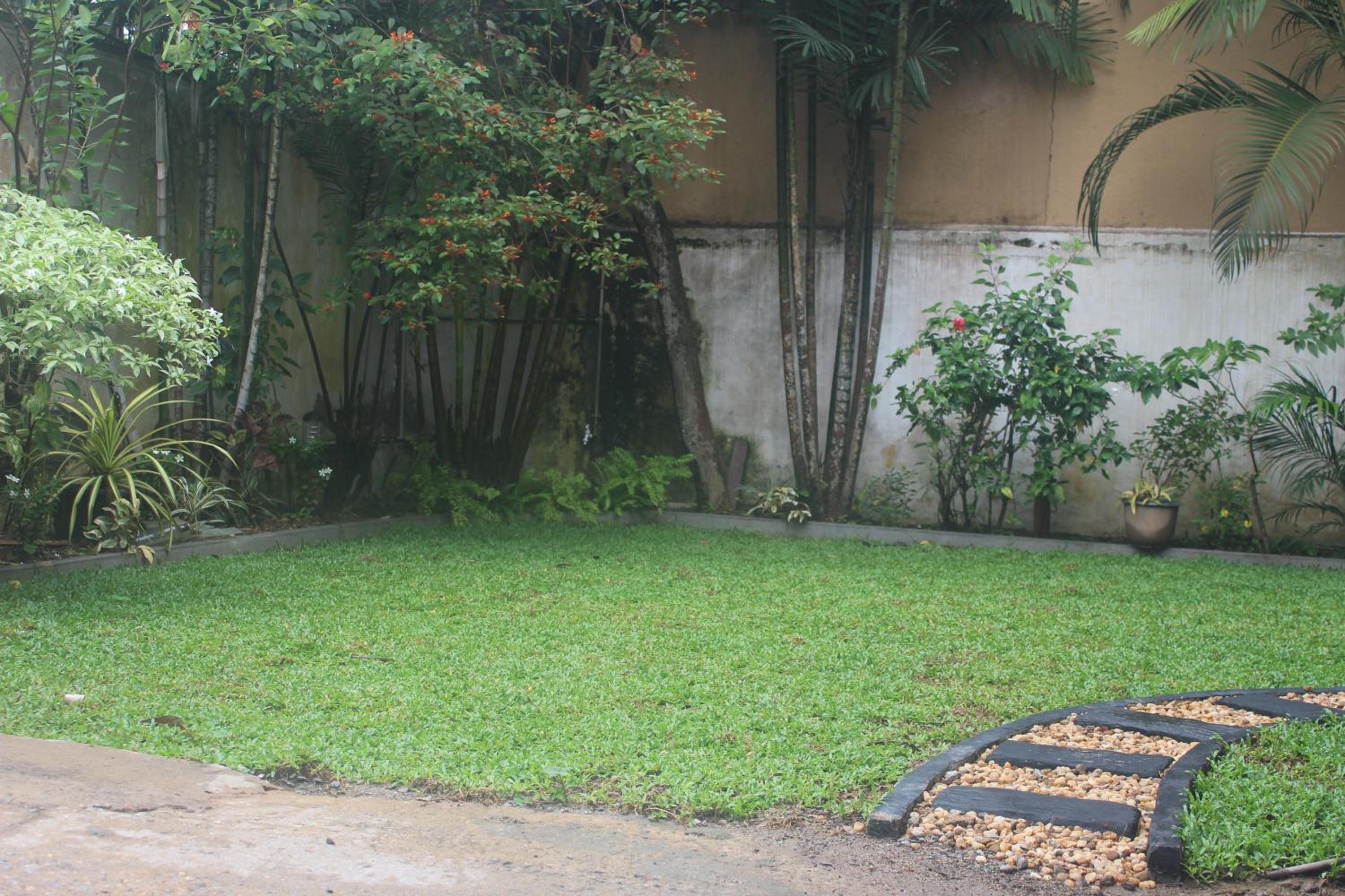 Photo 88