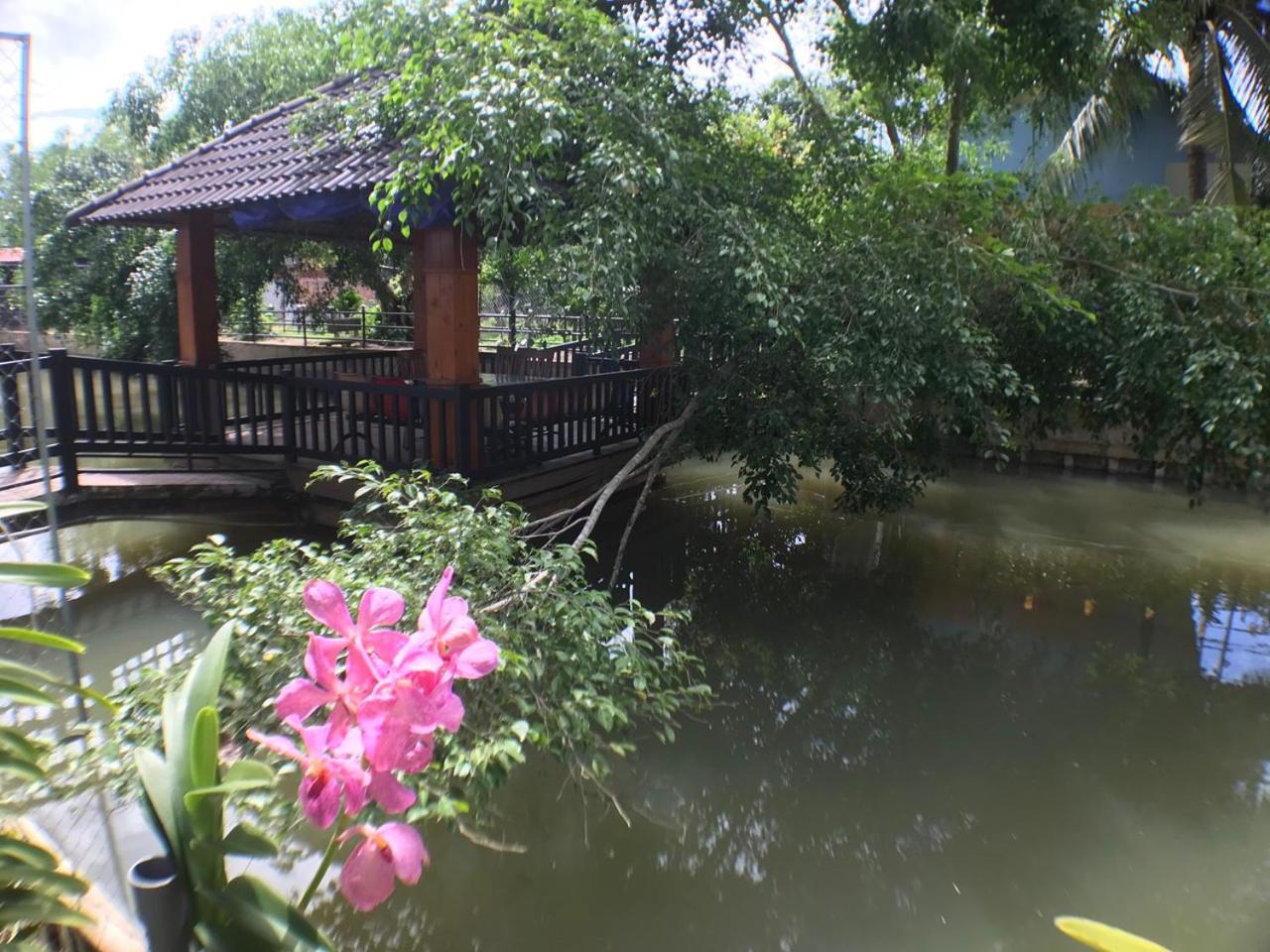 Thanh Thuy view 5