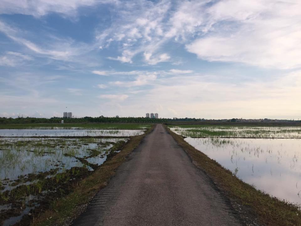 Photo 22