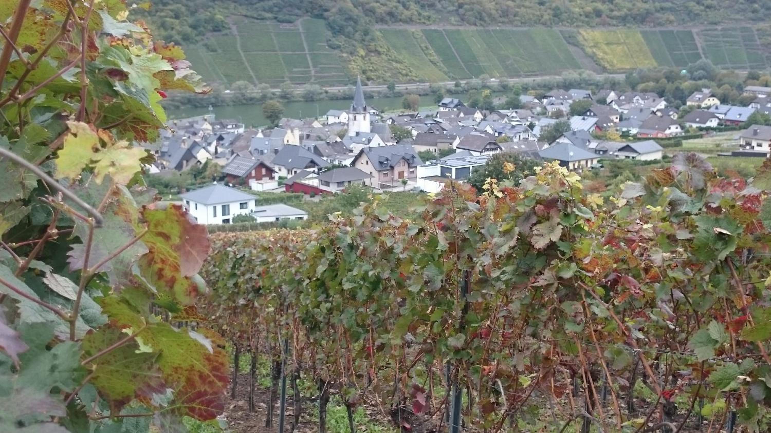 Ferienwohnungen Am Bruttiger Moselsteig