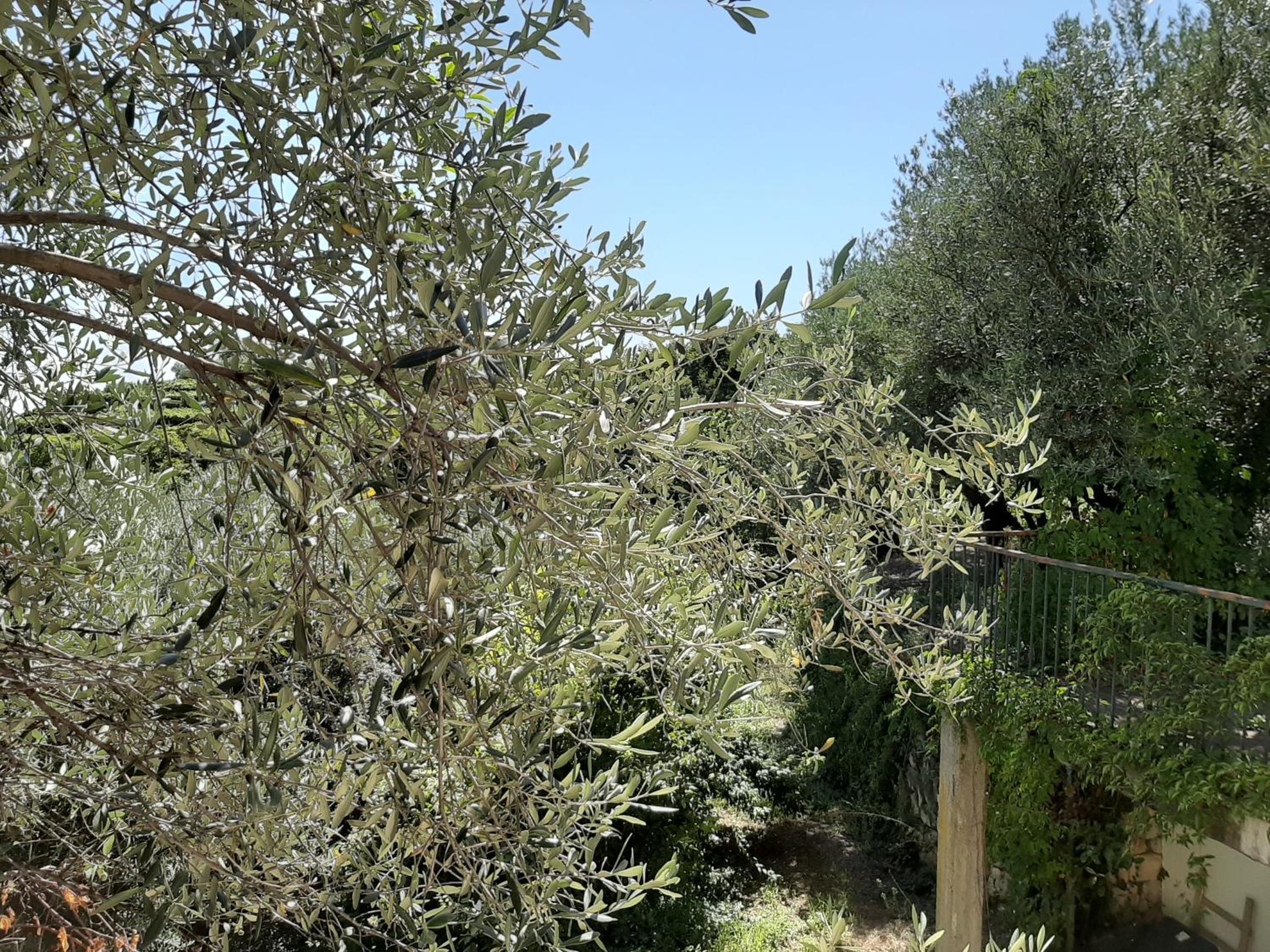 Photo 27