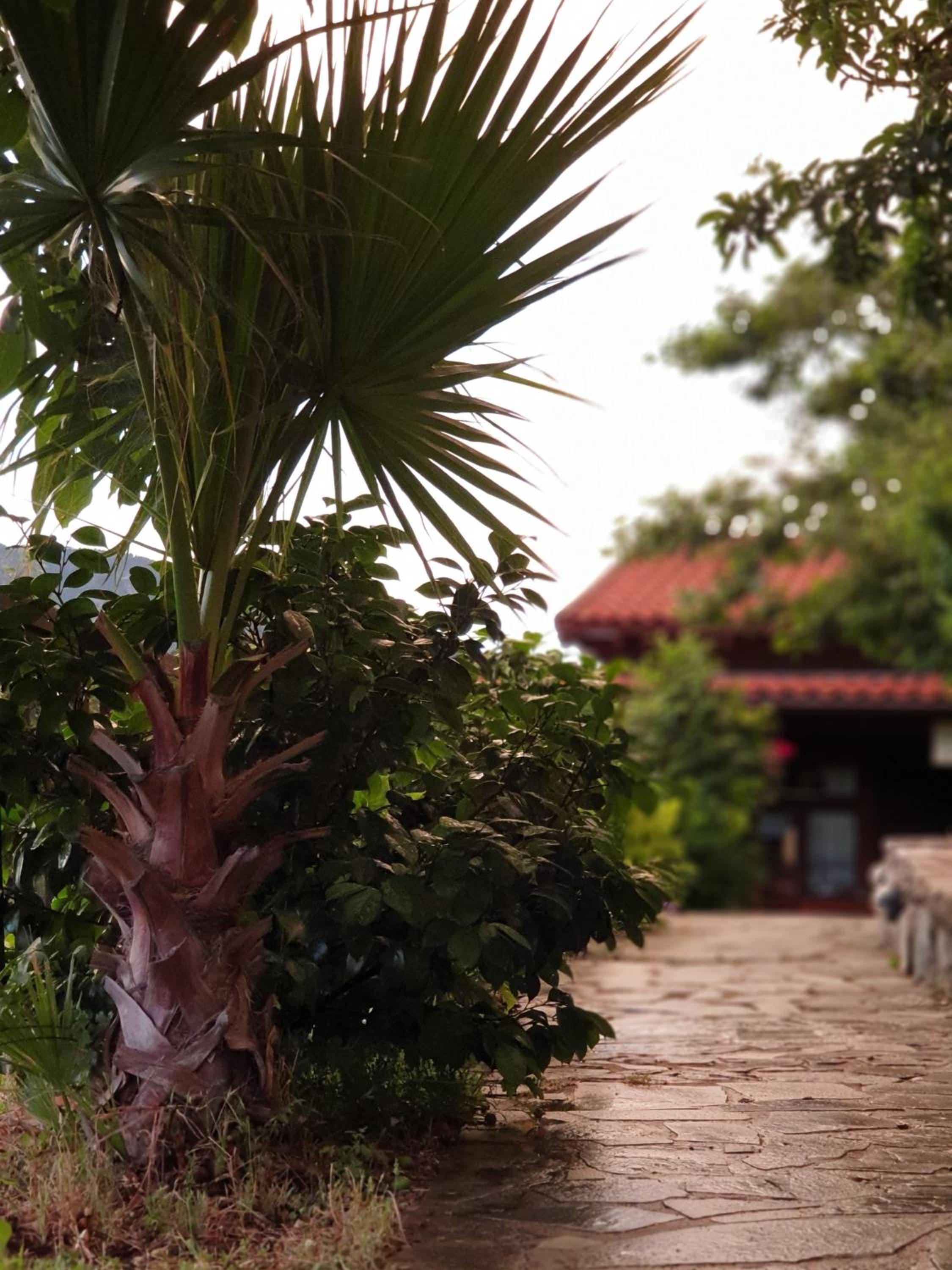 Alagonia Country Homes view 4