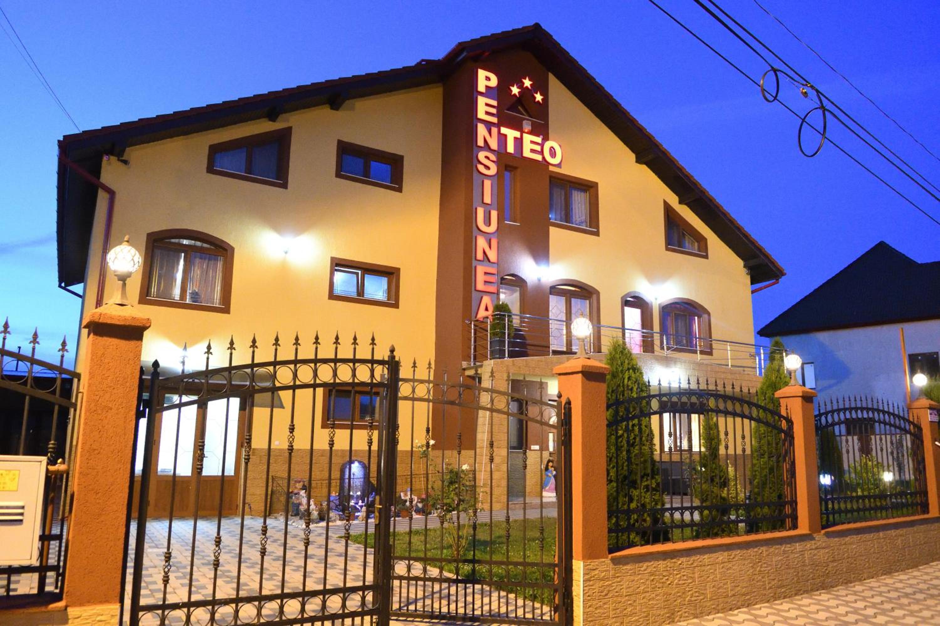 Pensiunea Teo, photo 33