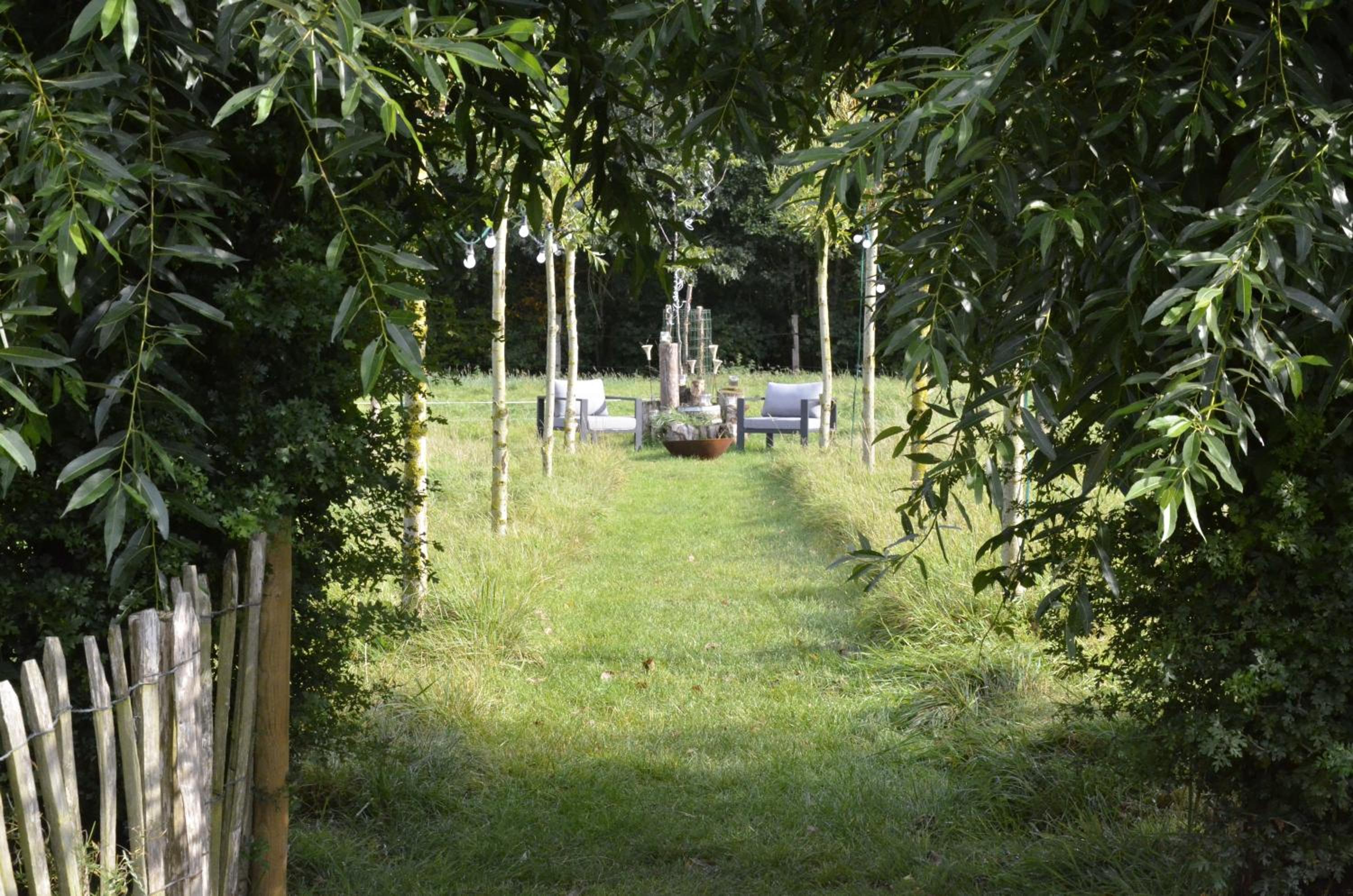 Stee 23