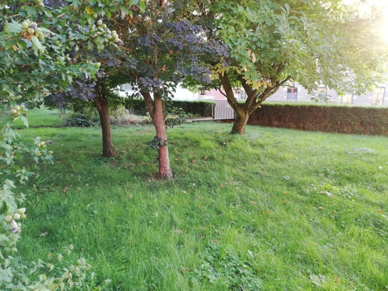 Le Clos des Hirondelles