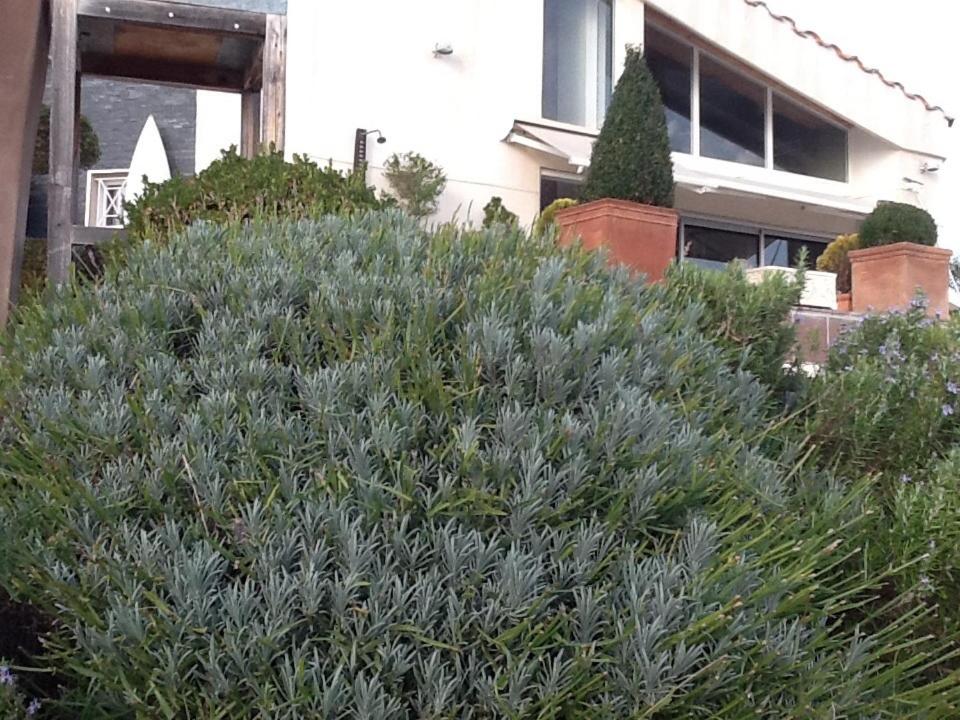La Villa Blanche
