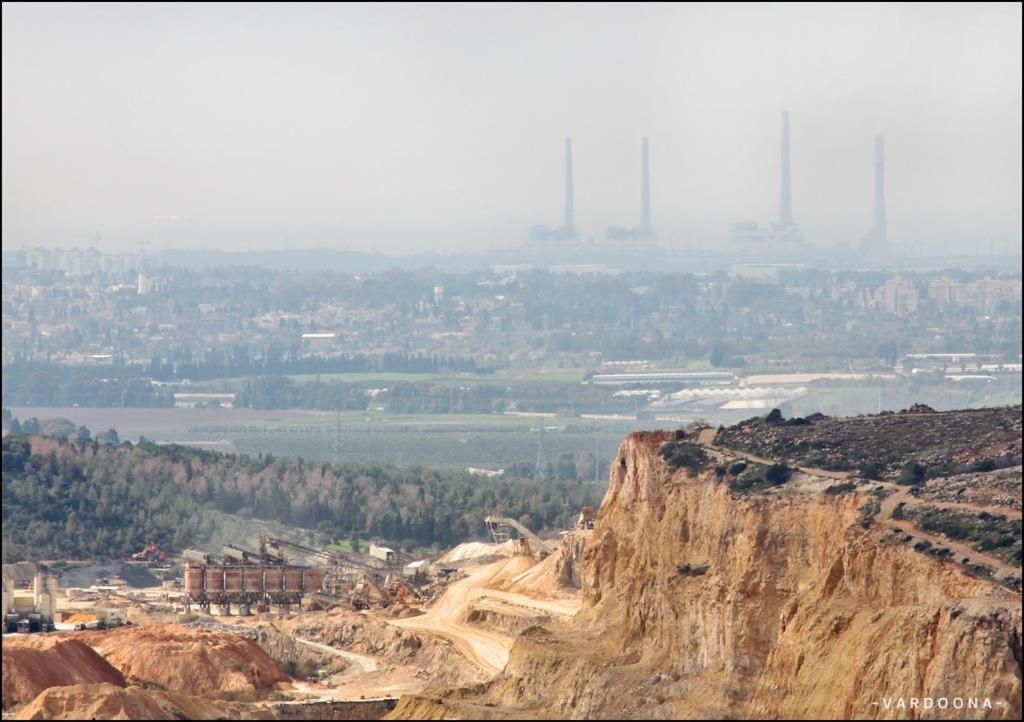Vitals On the Mountain in Katzir, photo 11