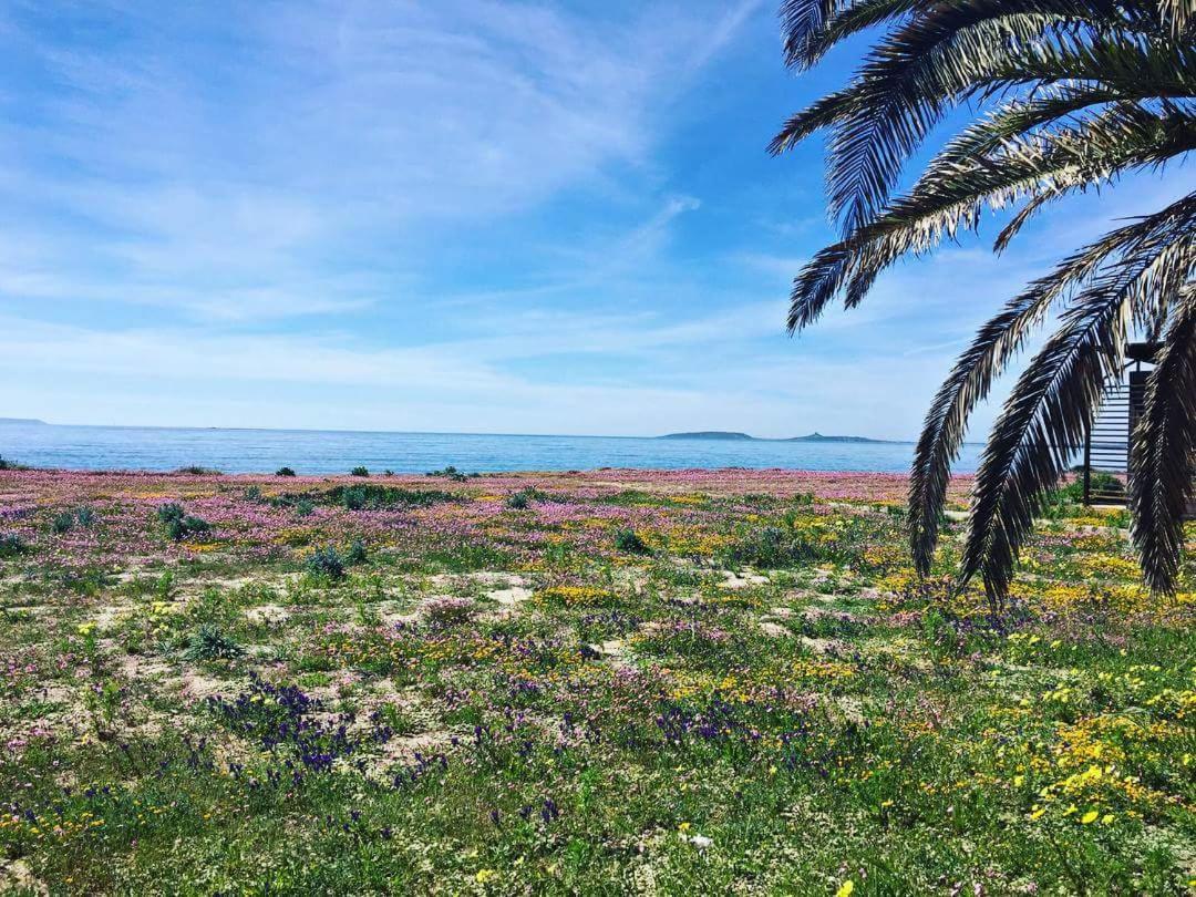 Affittacamere Acquamarina