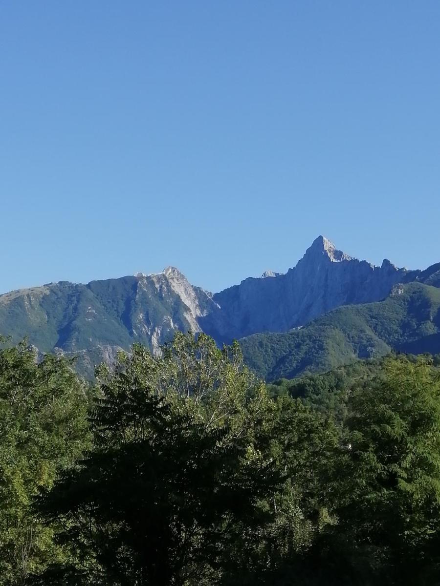 Photo 36