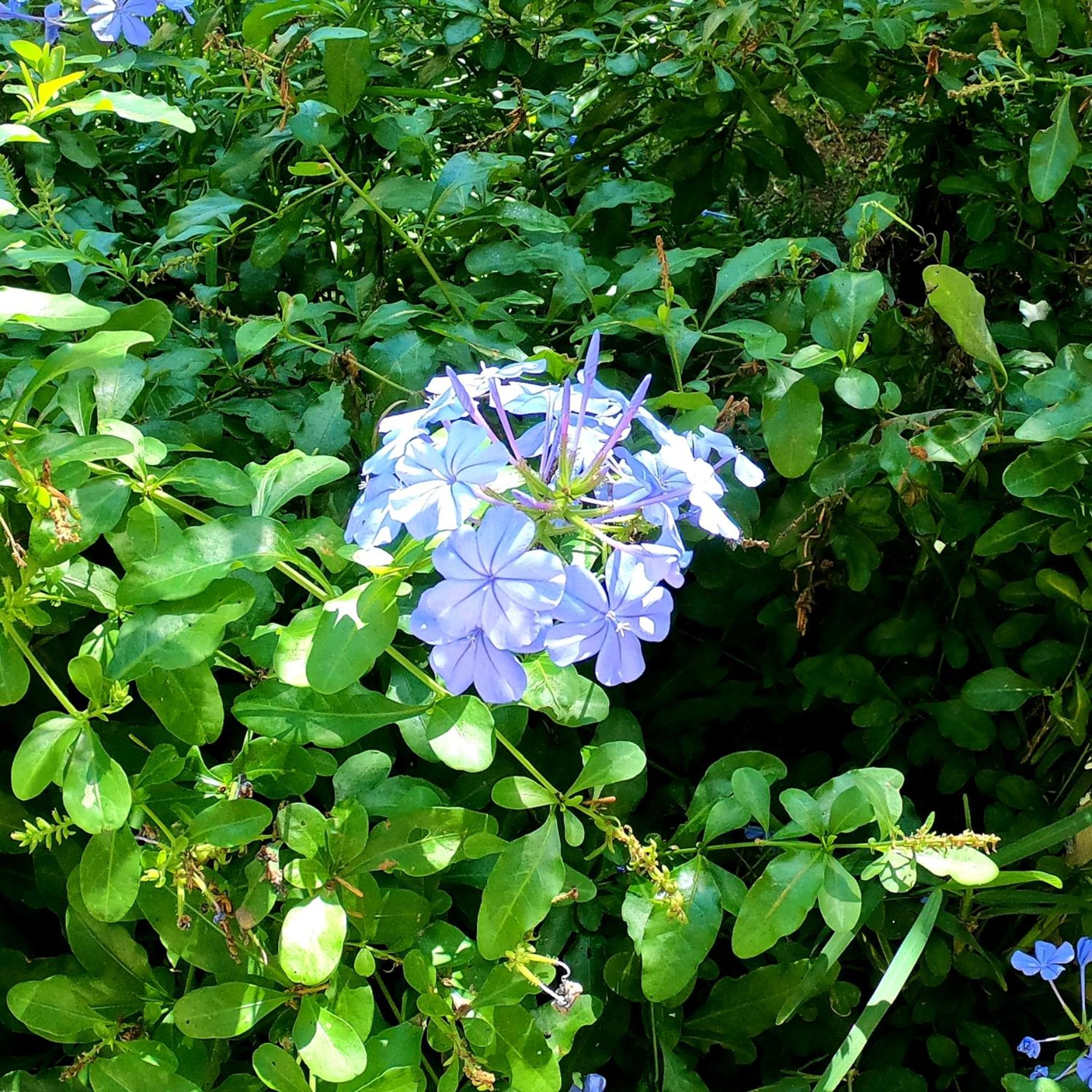 Photo 28