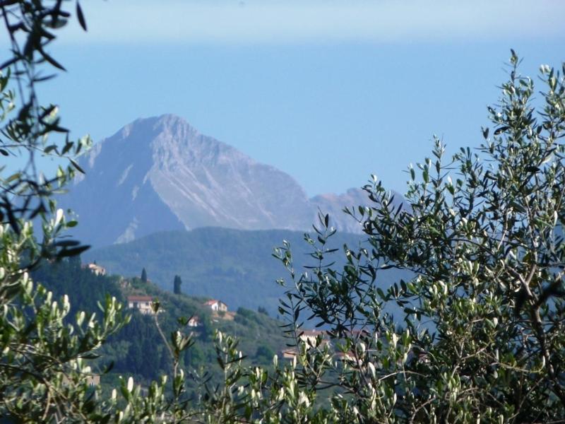 Fattoria di Camporomano view 3
