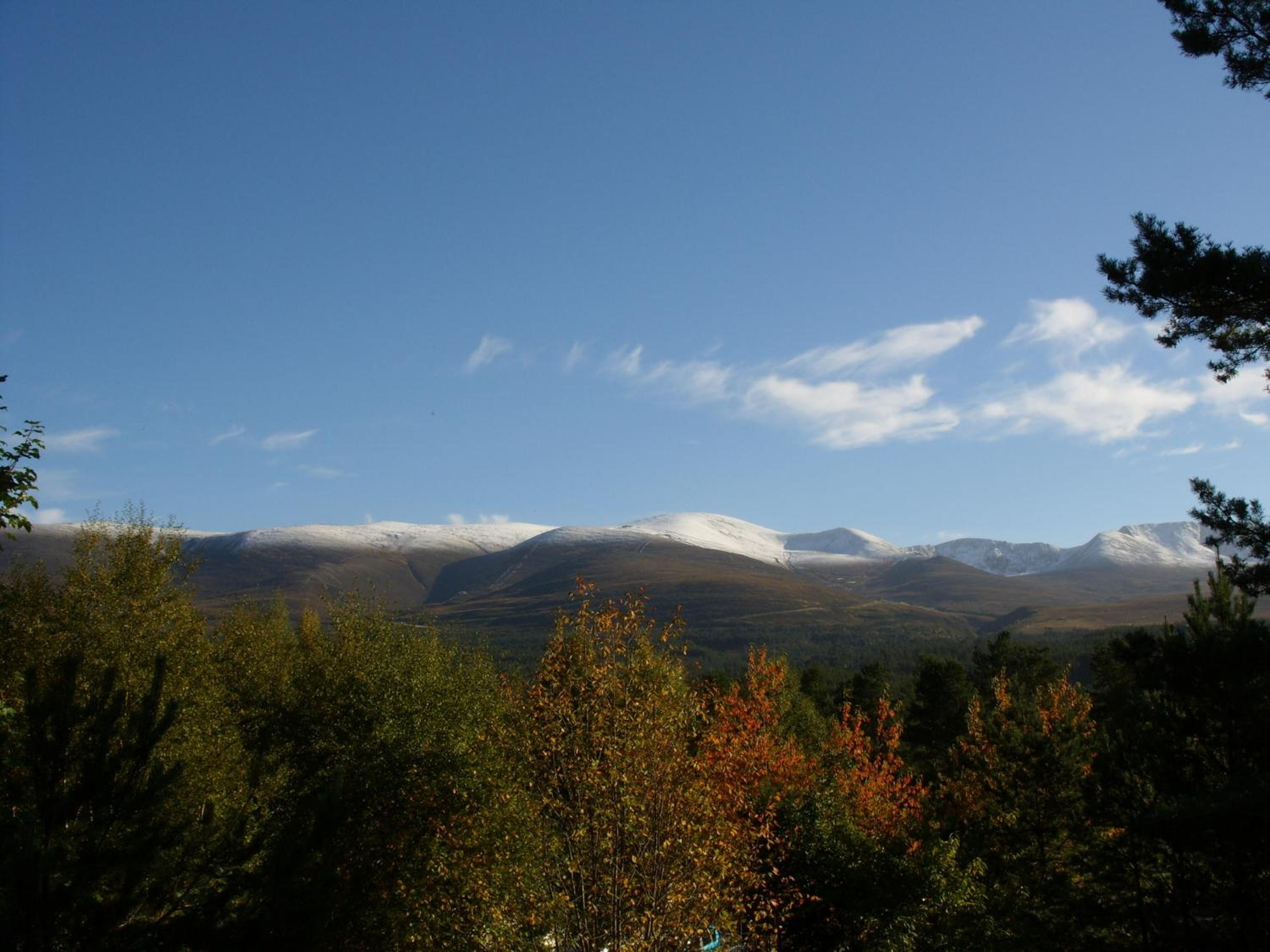 Photo 29
