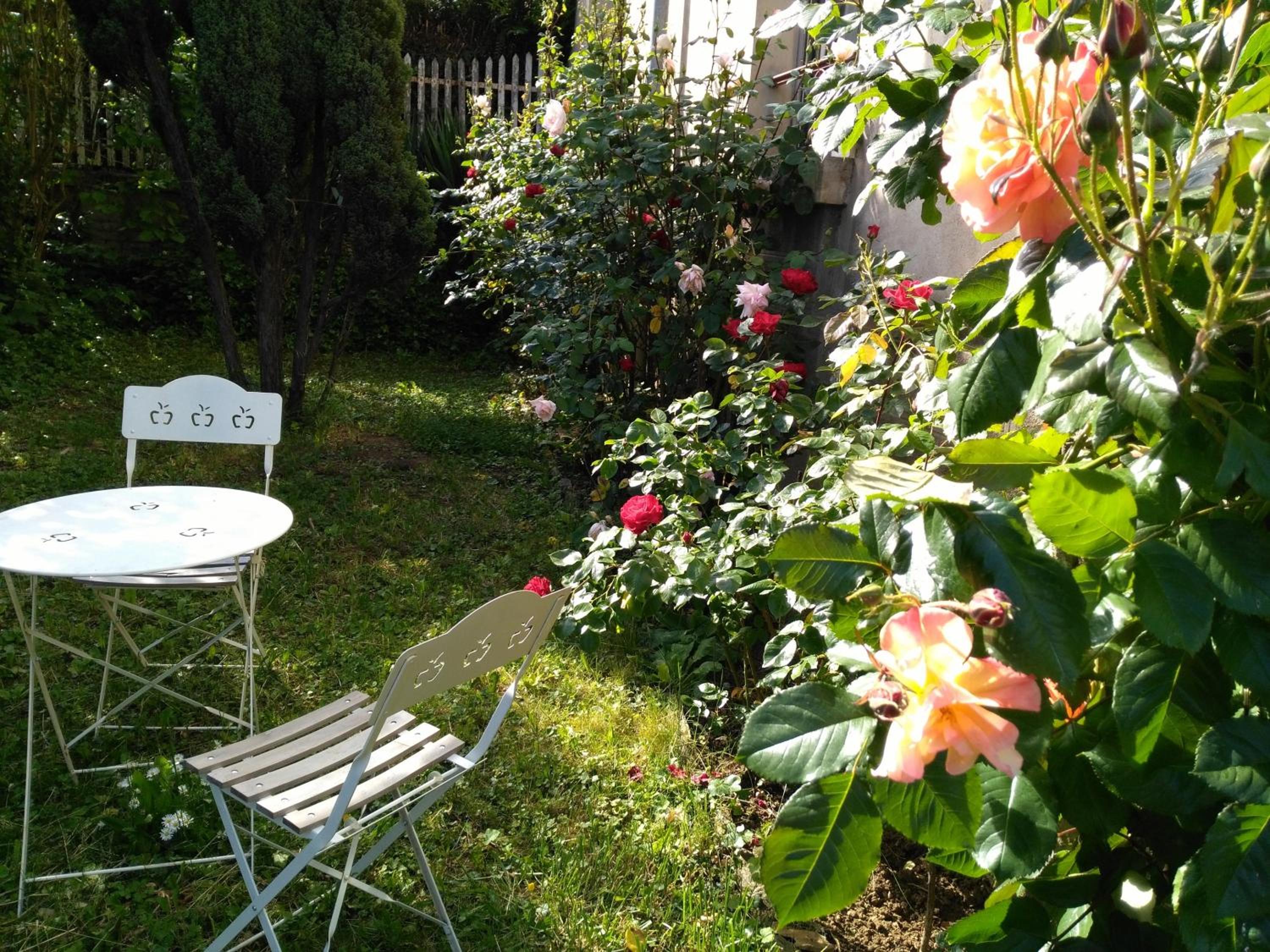 Photo 27