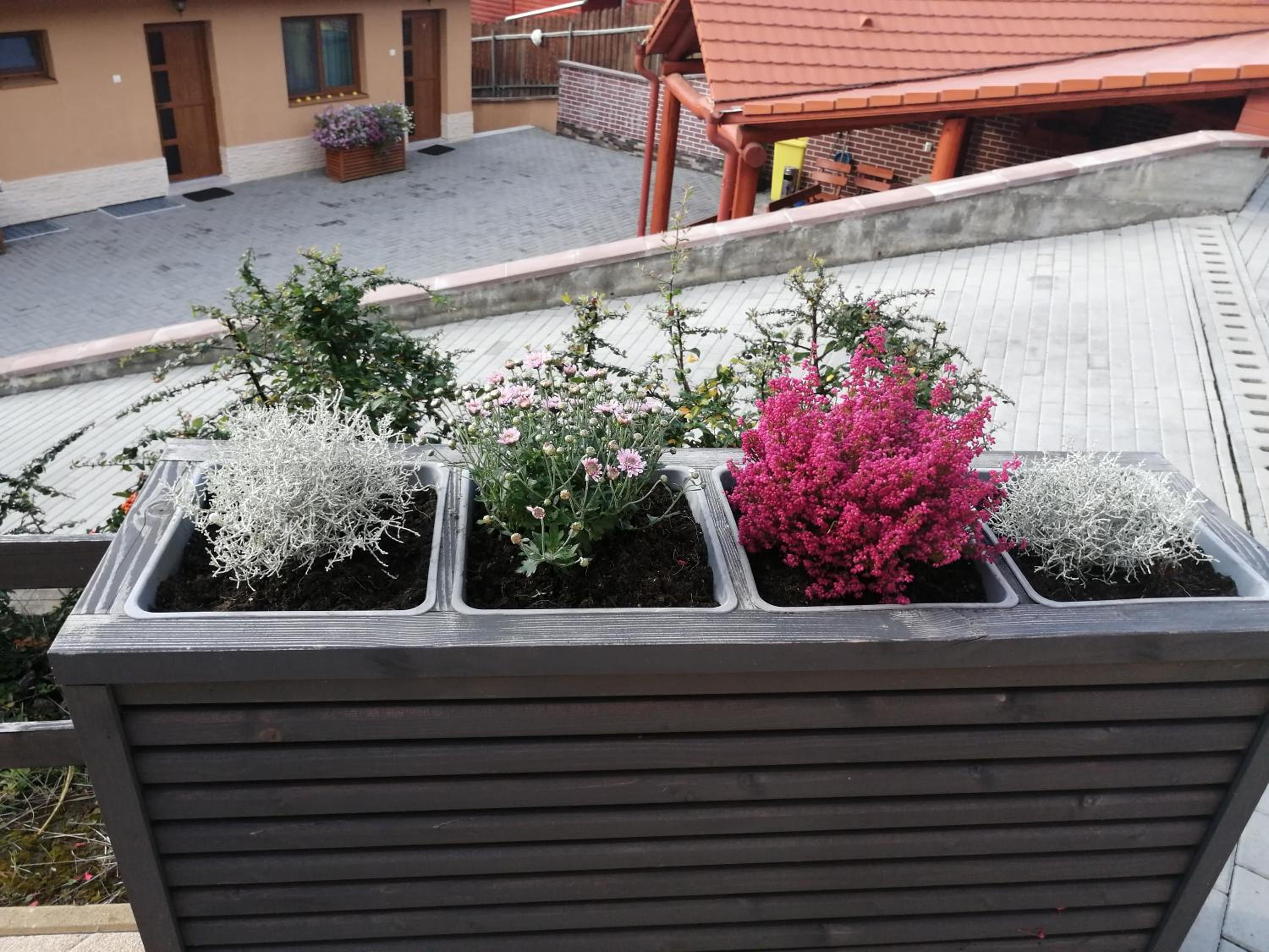 Casa 77*** Praid view 2