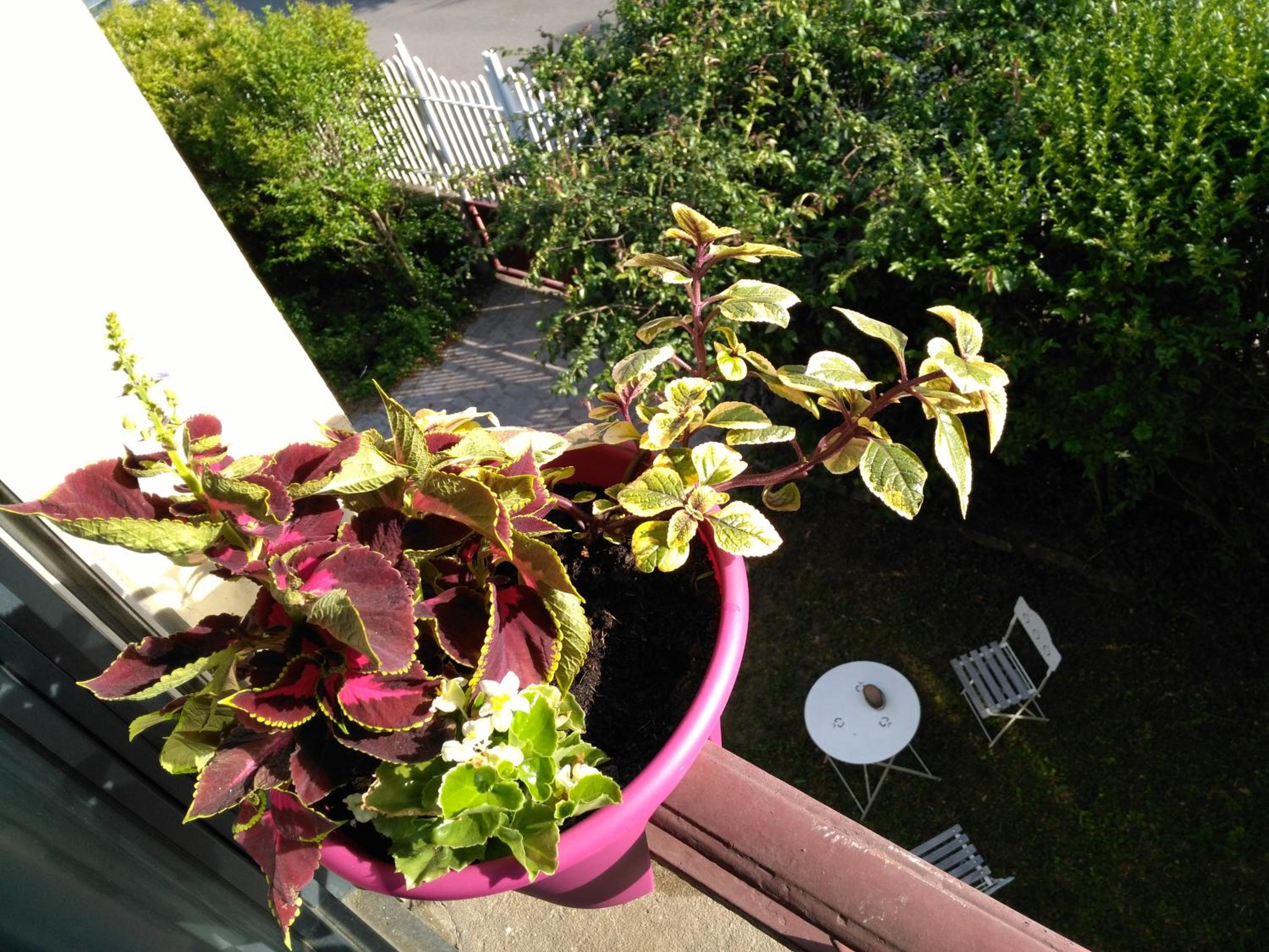 Photo 23