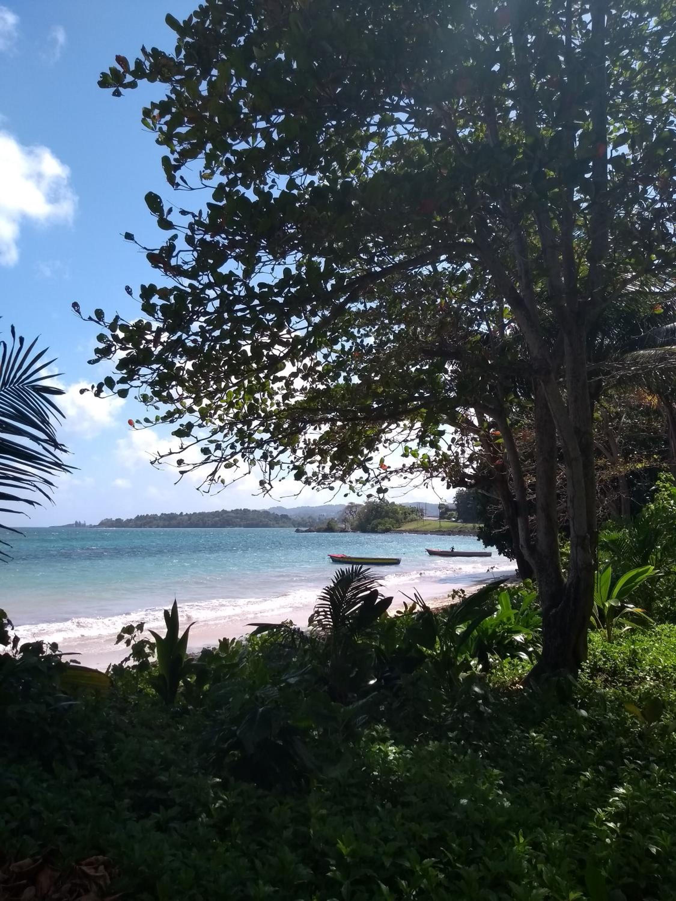 Port Antonio Brian's Beach House