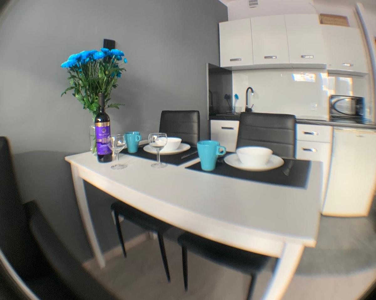 Blue Mennica Apartment view 2