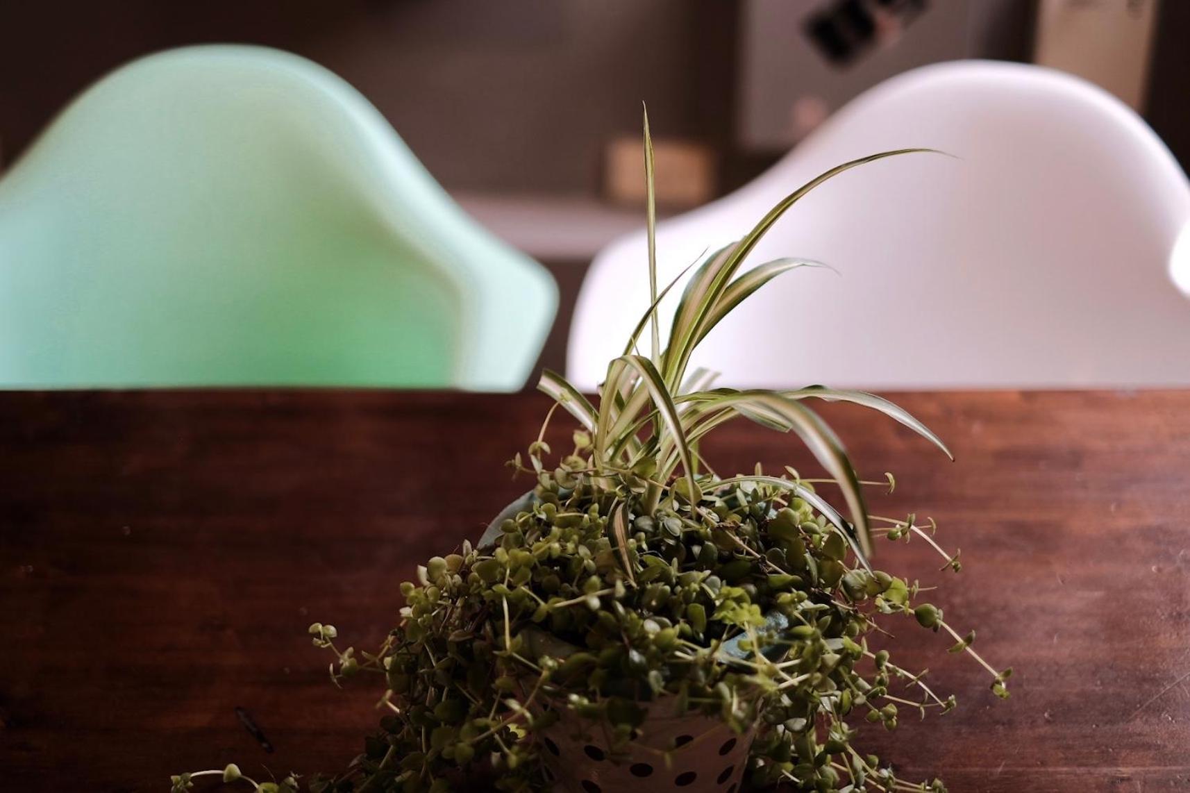 Leónidas Design Loft