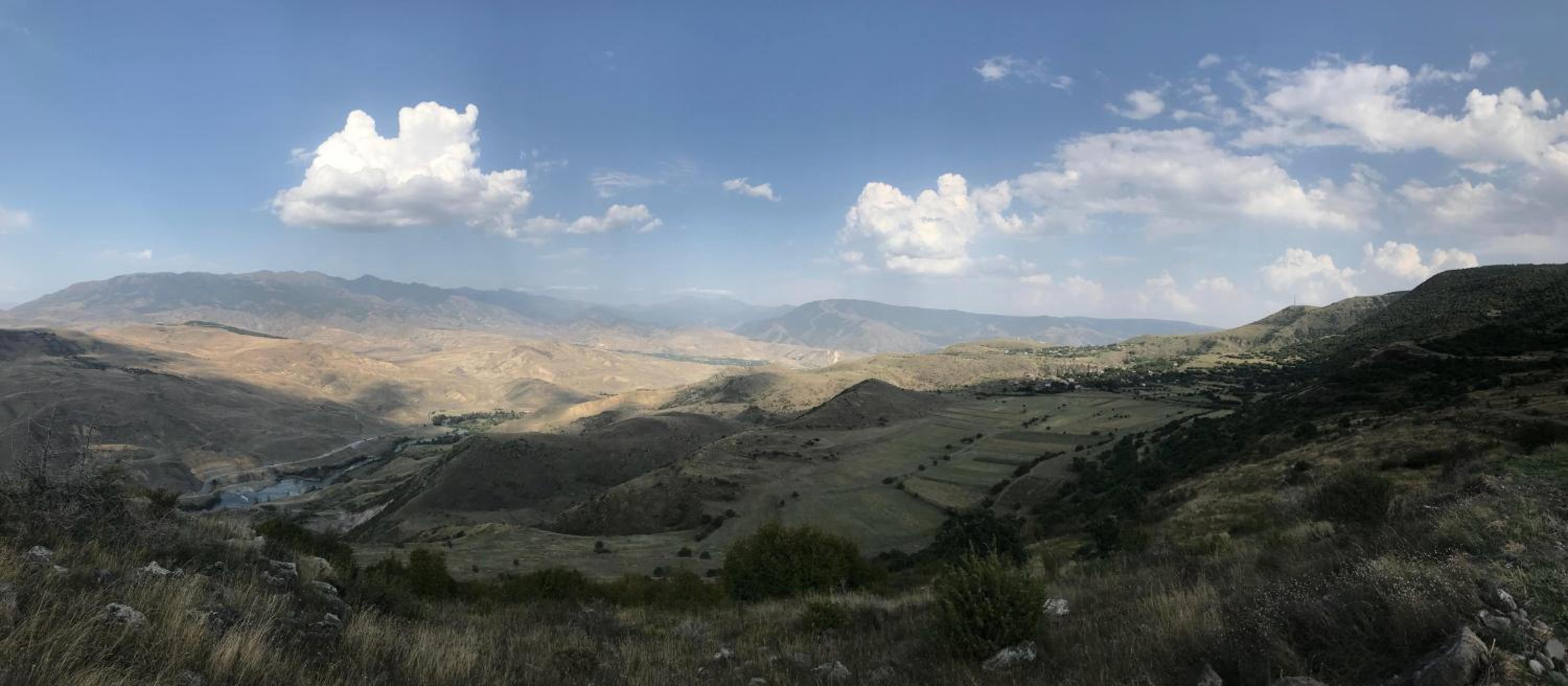 Oasis