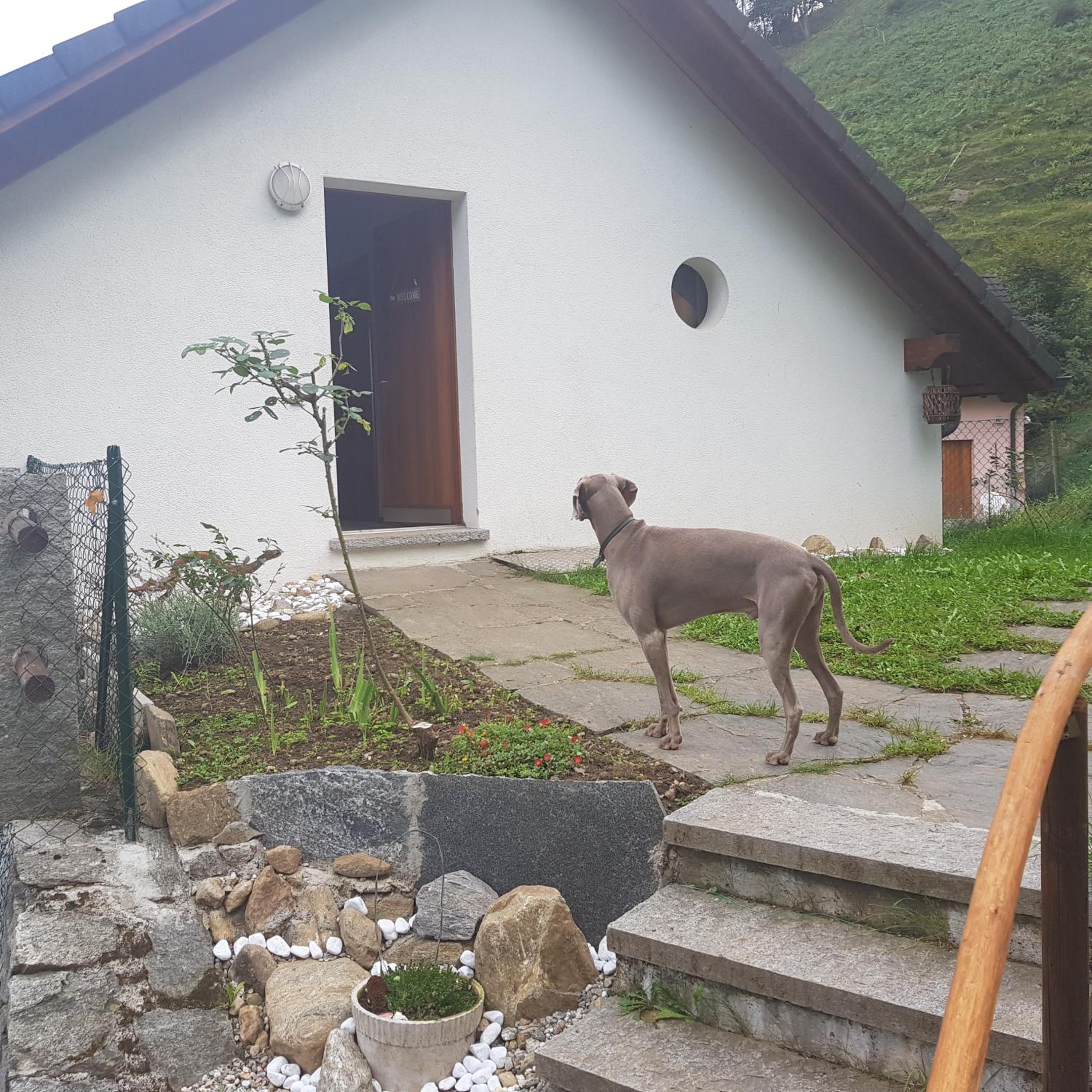 Casa sole